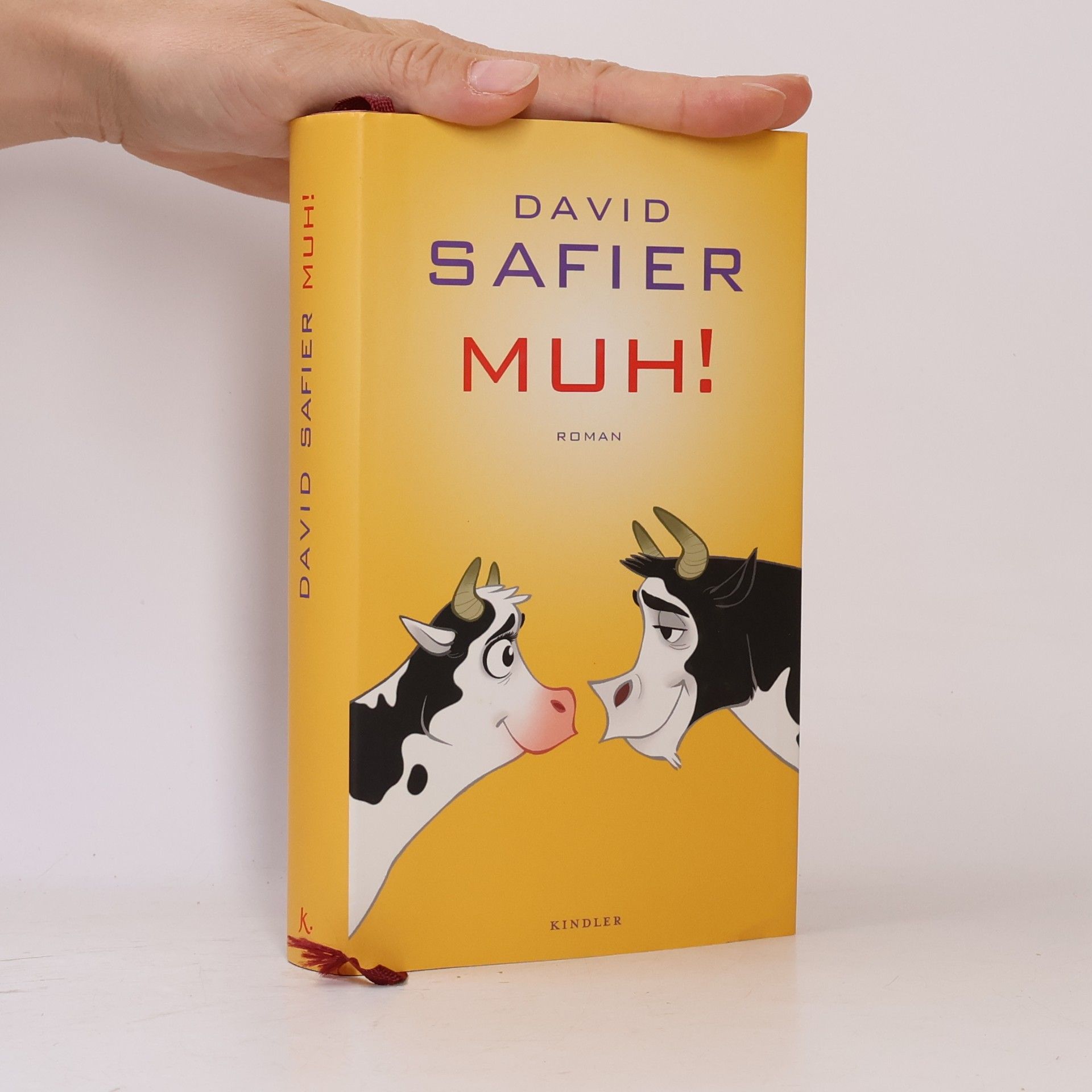 David Safier Muh!