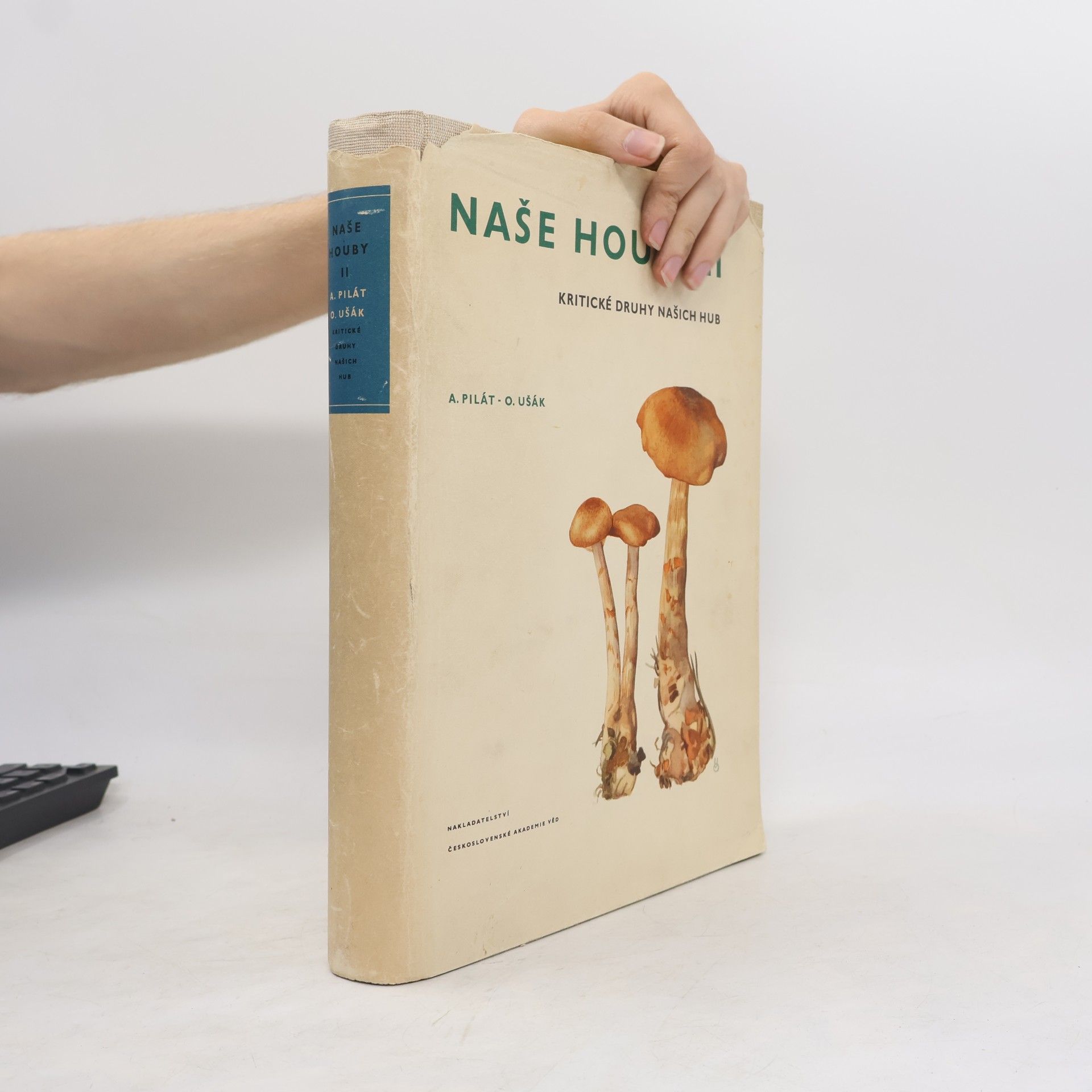 O. Ušák Naše houby II. Kritické druhy našich hub