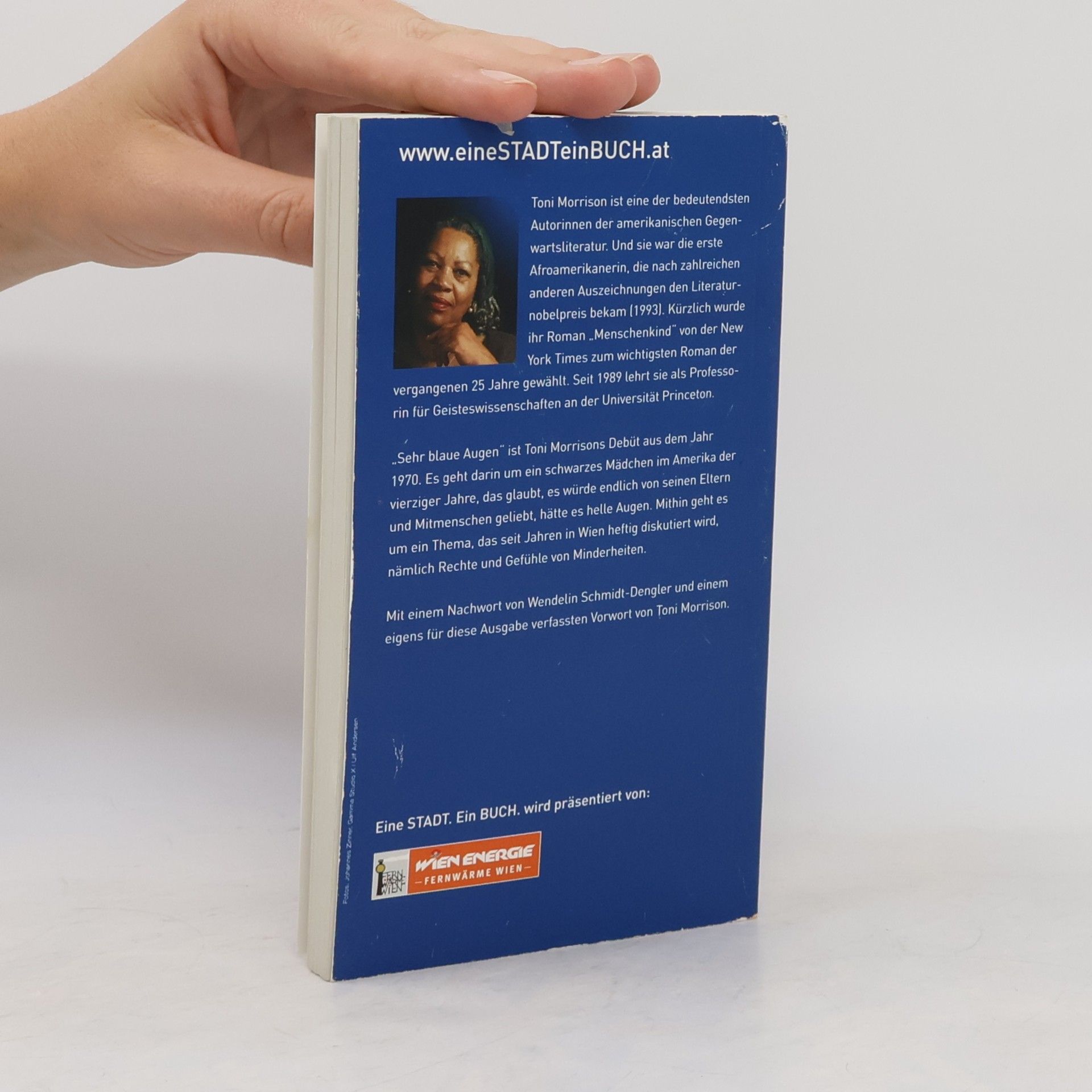 Toni Morrison Sehr blaue Augen