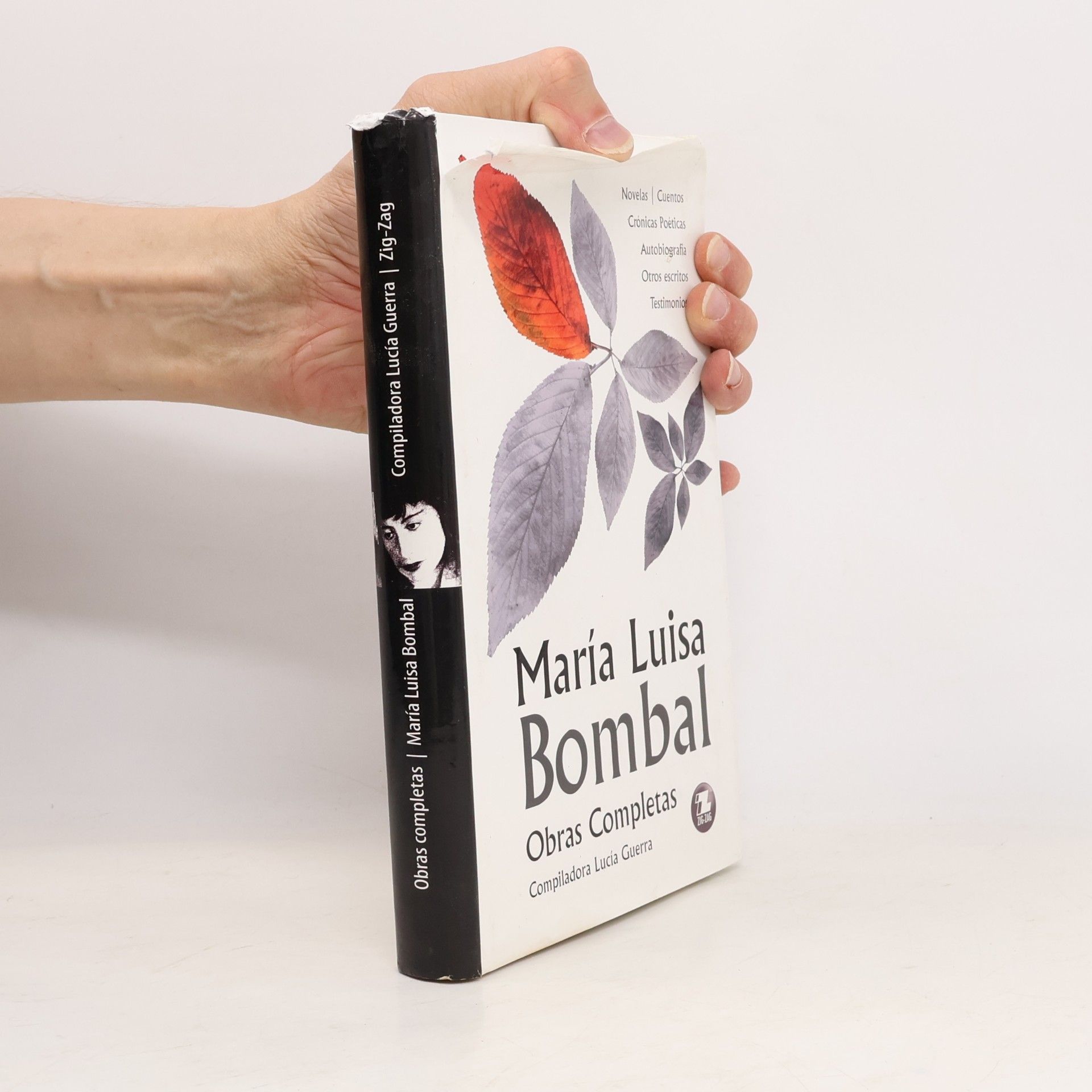 María Luisa Bombal Obras completas