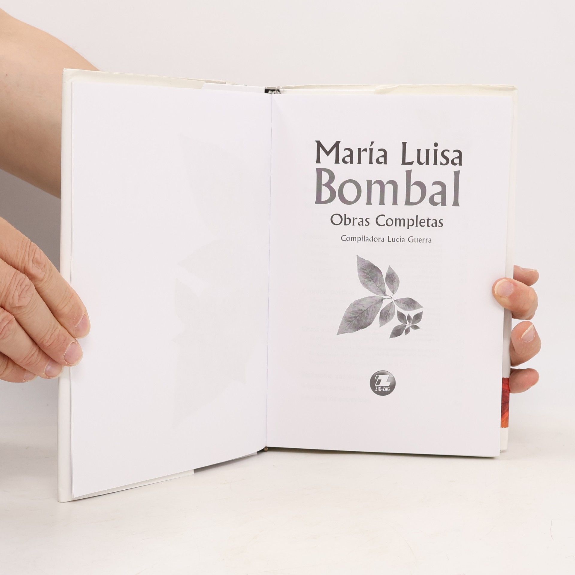 María Luisa Bombal Obras completas