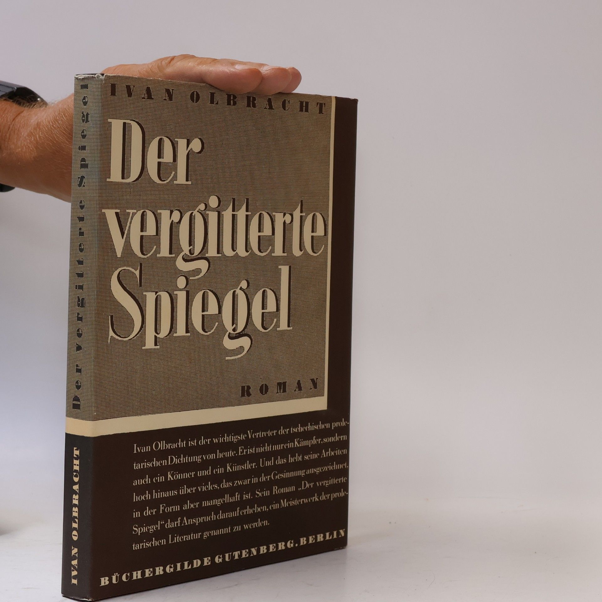Der vergitterte spiegel