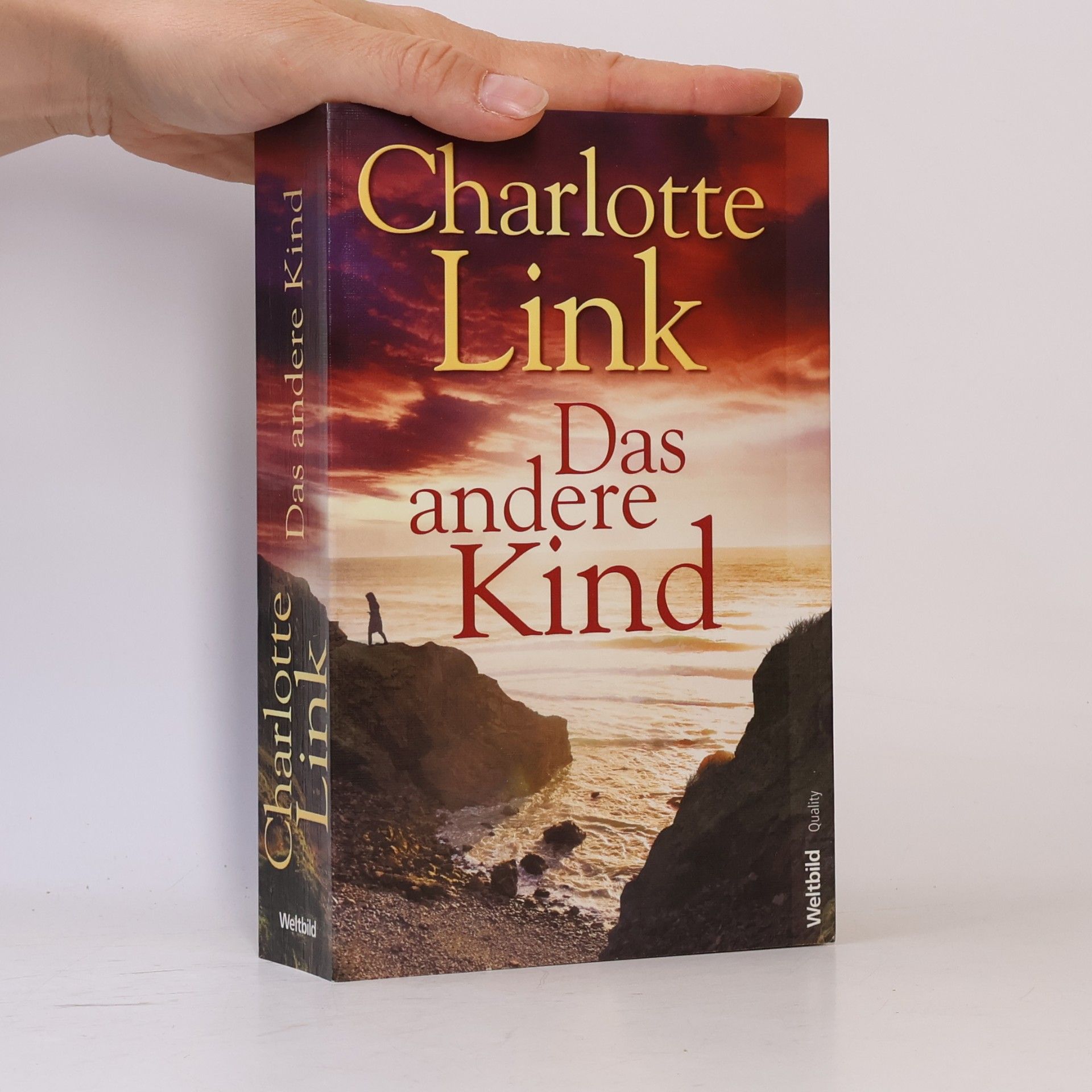 Charlotte Link Das andere Kind