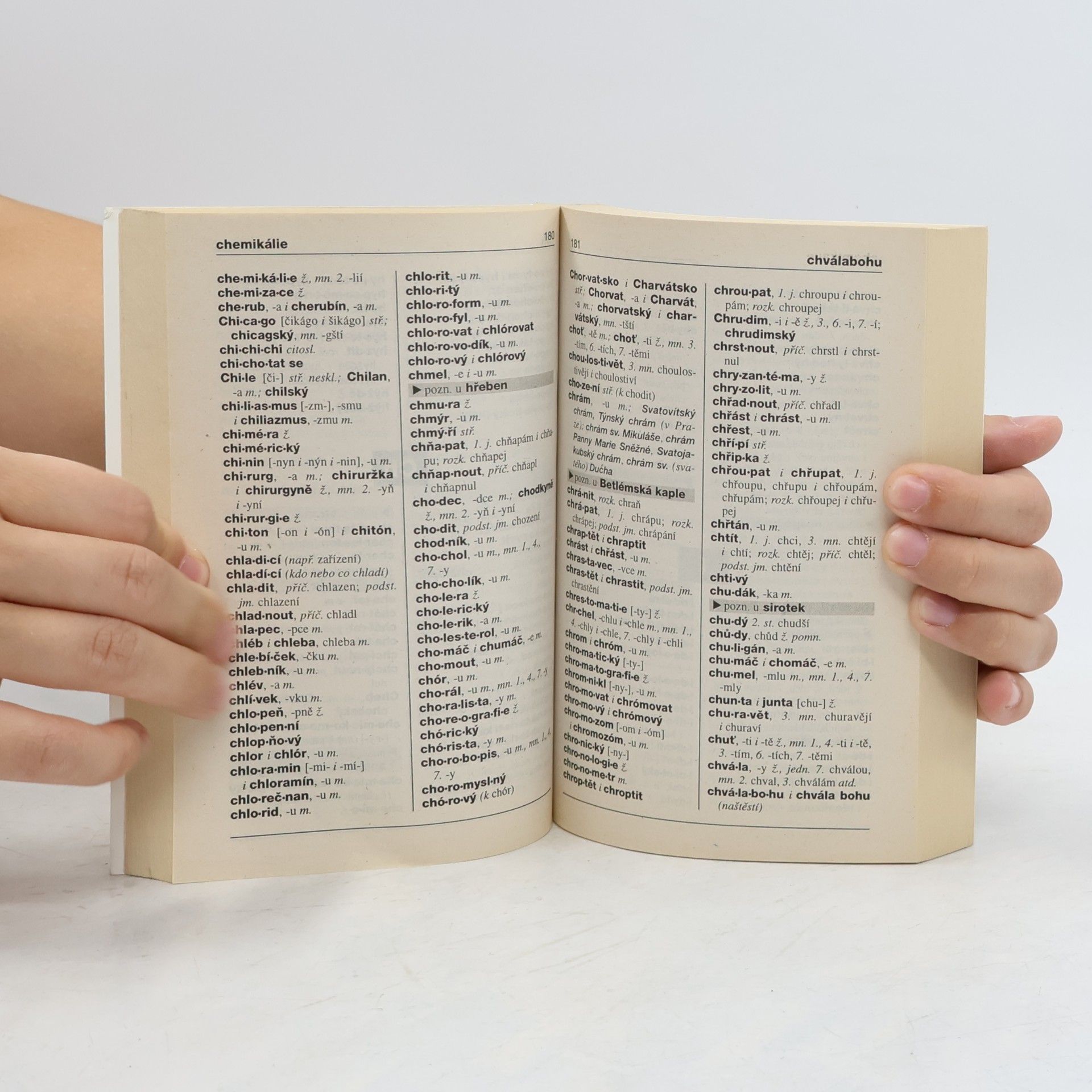 Collectif d'auteurs Pravidla českého pravopisu pro školní rok 1998/99