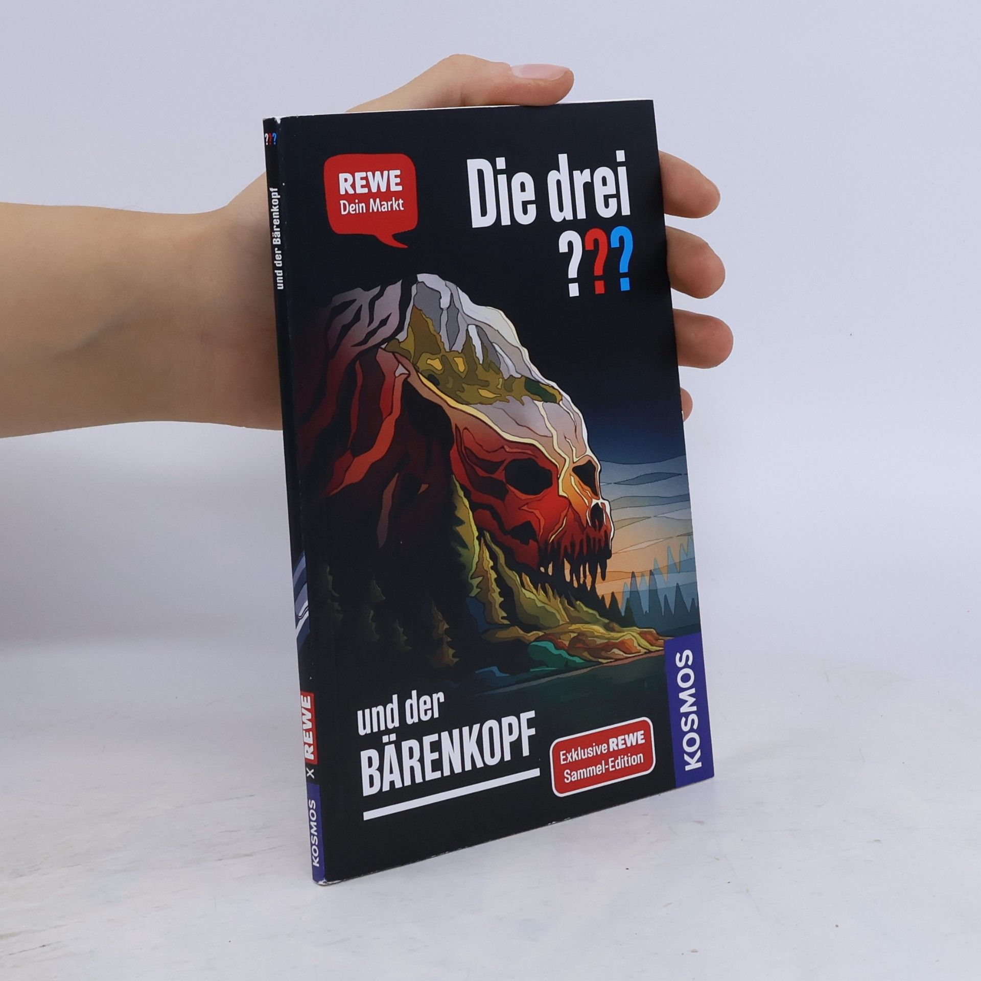 Andreas Ruch Die drei ??? und der Bärenkopf