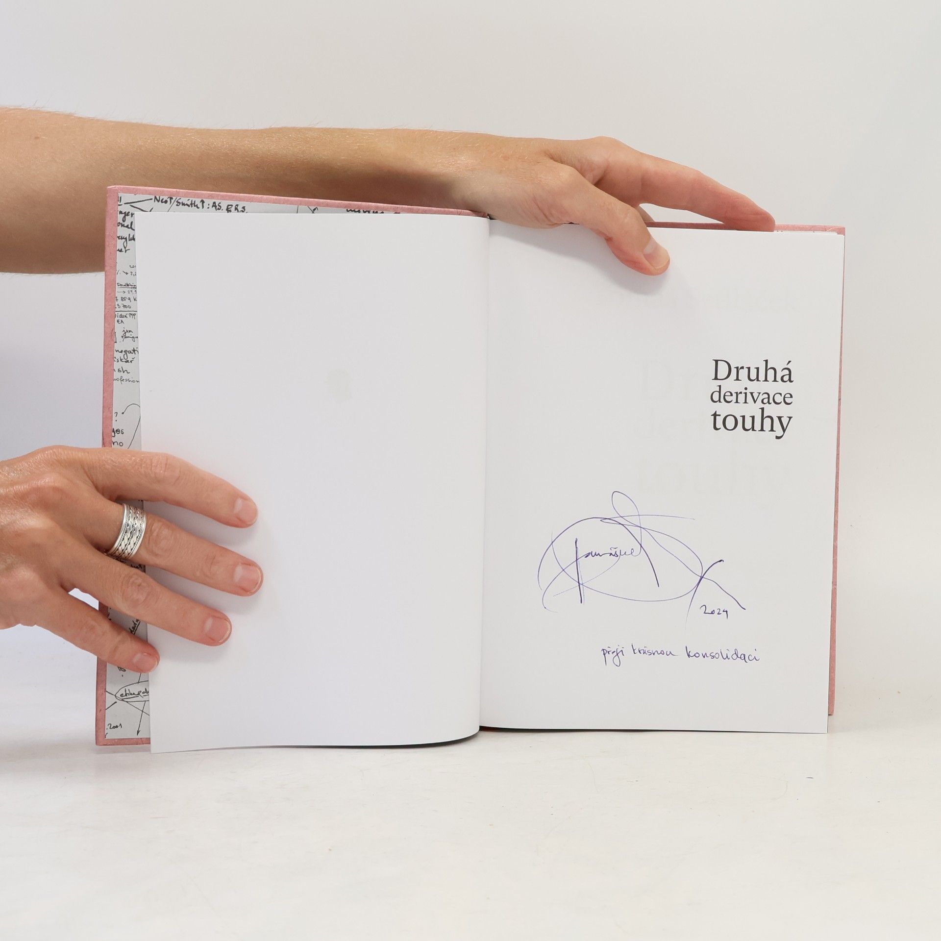 Tomáš Sedláček Druhá derivace touhy. Pravdoláskaři a bohémové