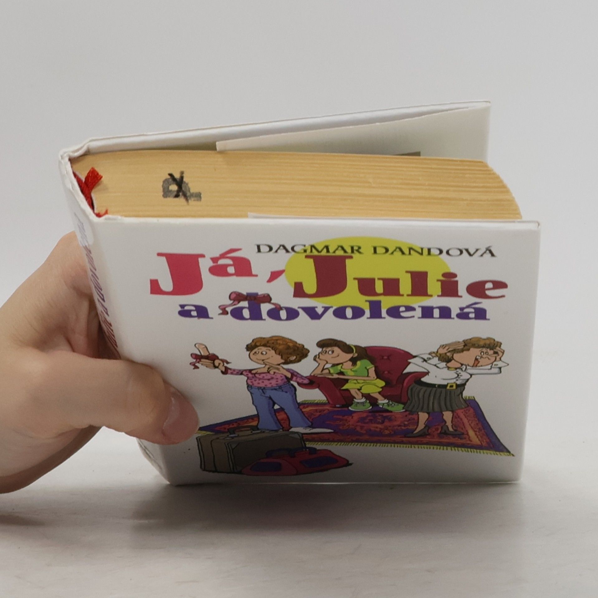 Dagmar Dandová Já, Julie a dovolená