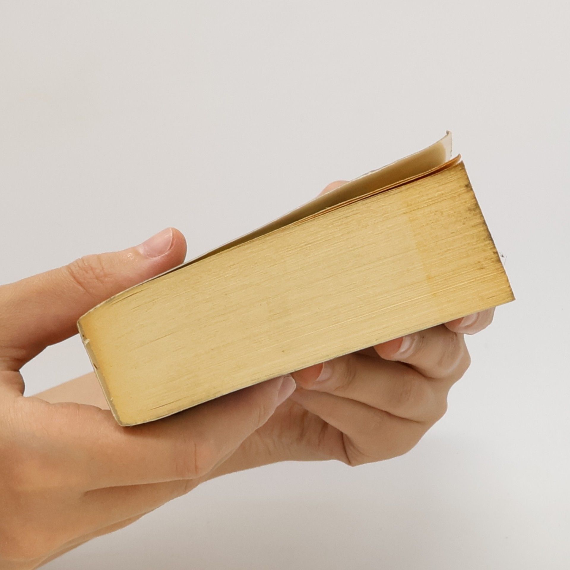 Dan Simmons Vzestup Endymionu 1