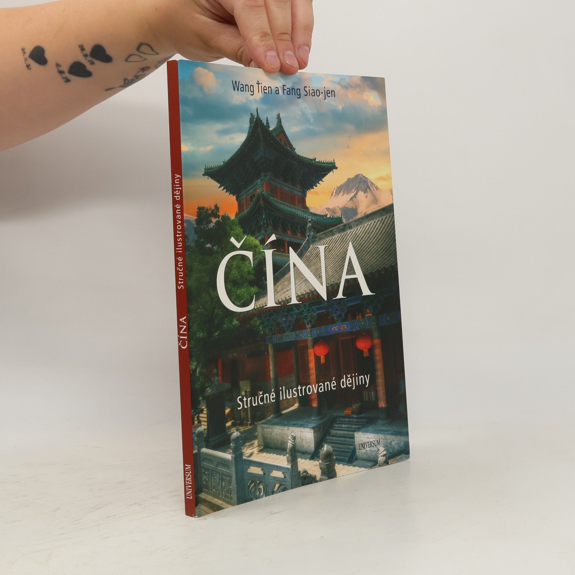 Xiaoyan Fang Čína. Stručné ilustrované dějiny