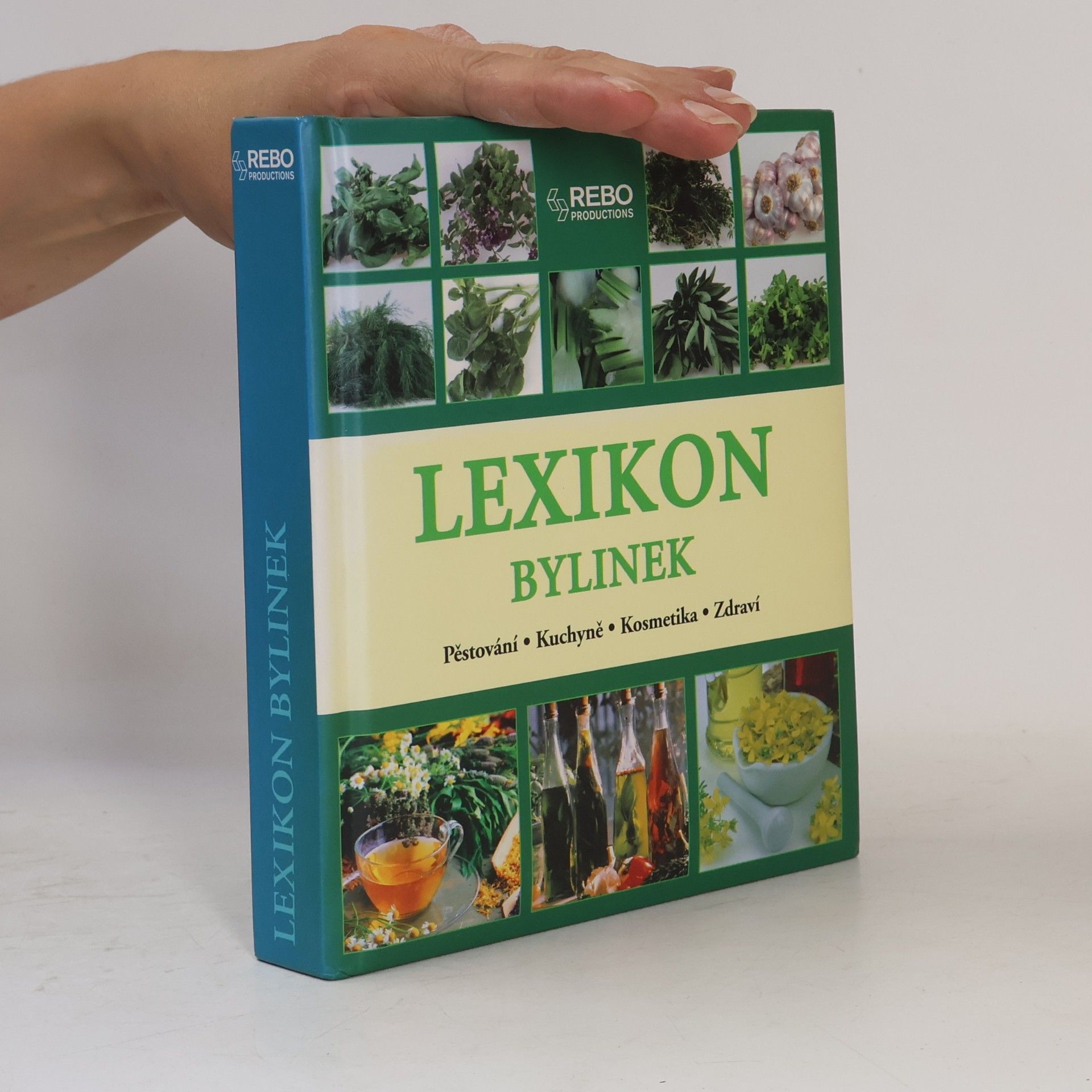 Andrea Rausch Lexikon bylinek