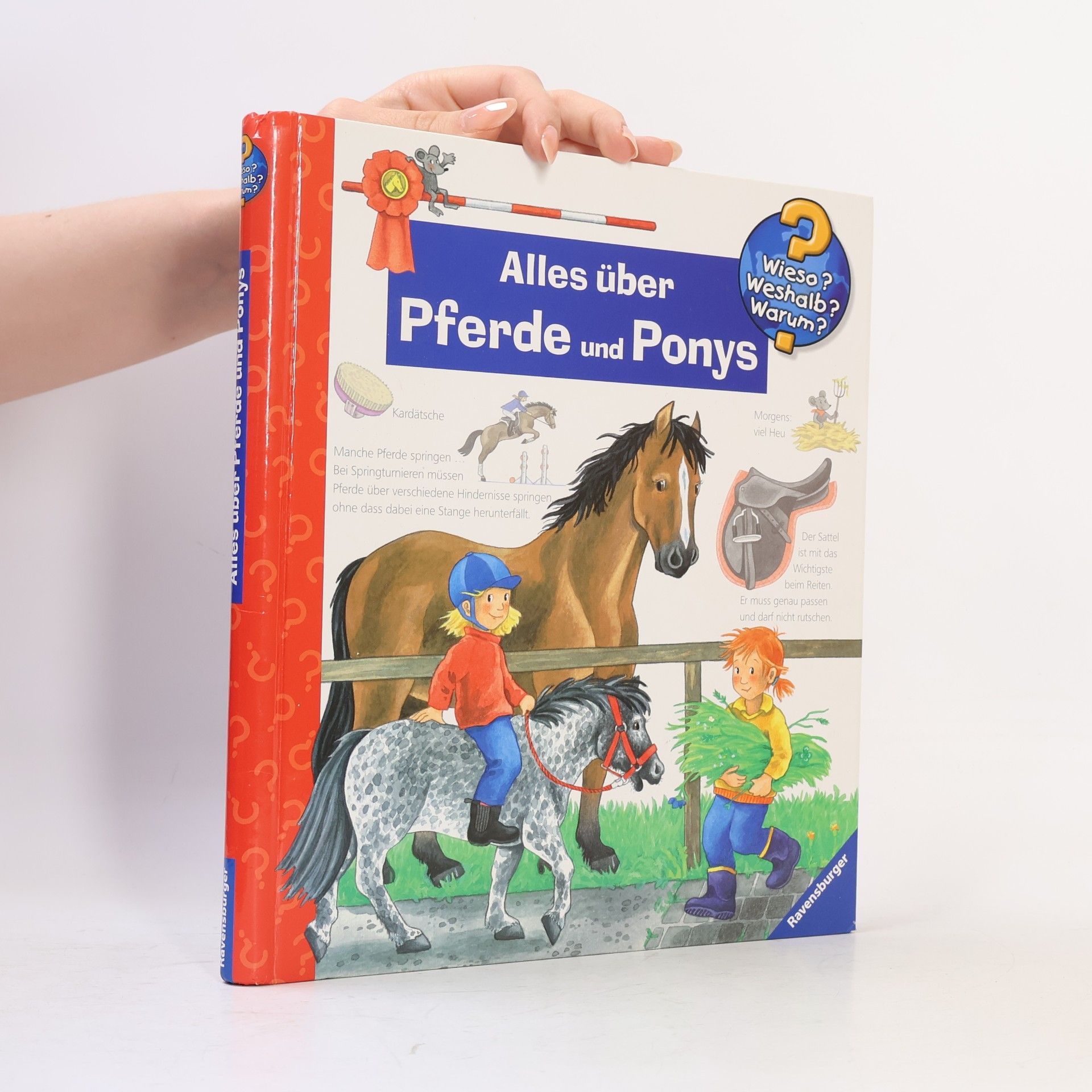 Andrea Erne Alles über Pferde und Ponys