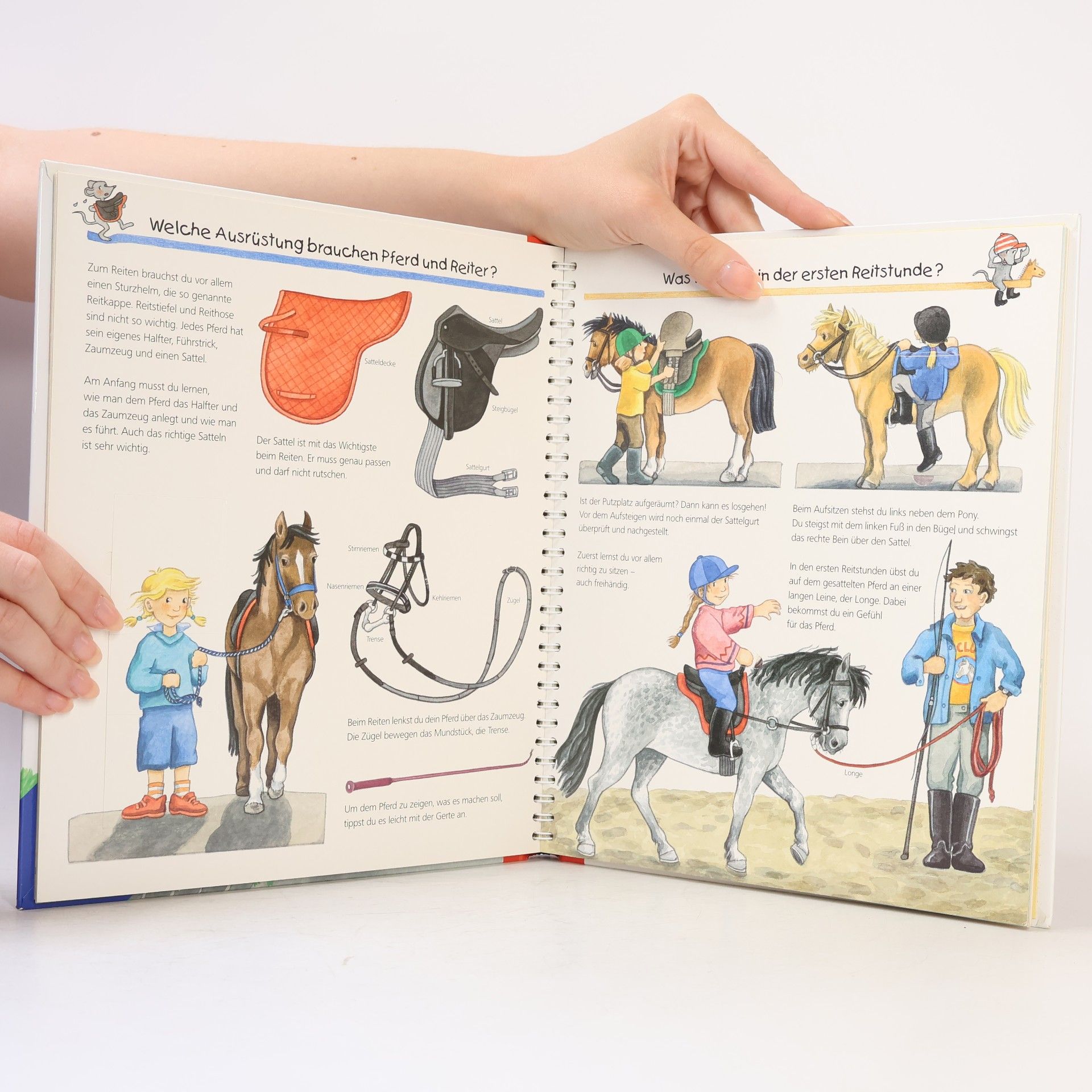 Andrea Erne Alles über Pferde und Ponys