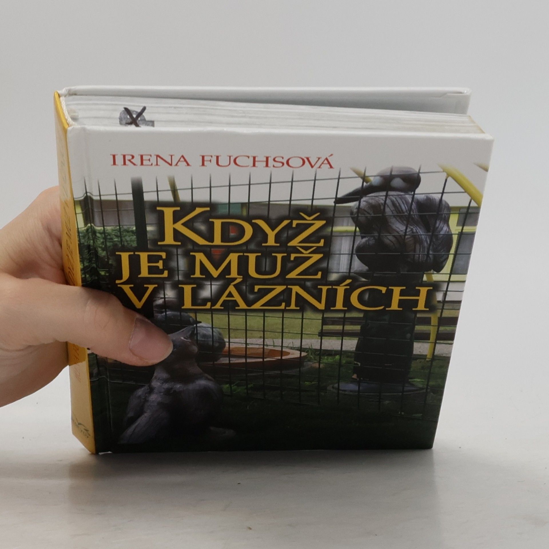 Irena Fuchsová Když je muž v lázních