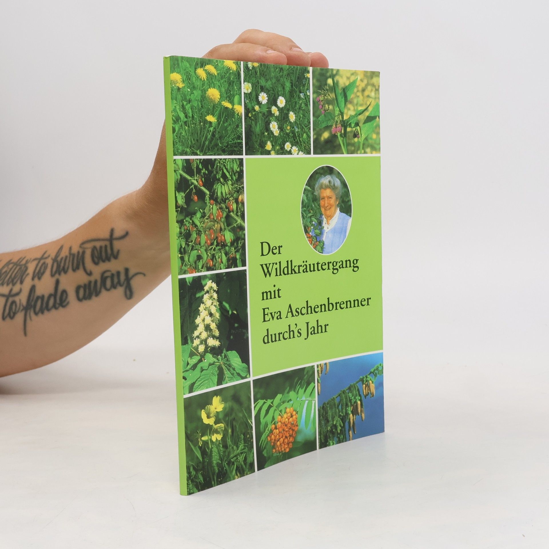Eva Aschenbrenner Der Wildkräutergang mit Eva Aschenbrenner durch's Jahr