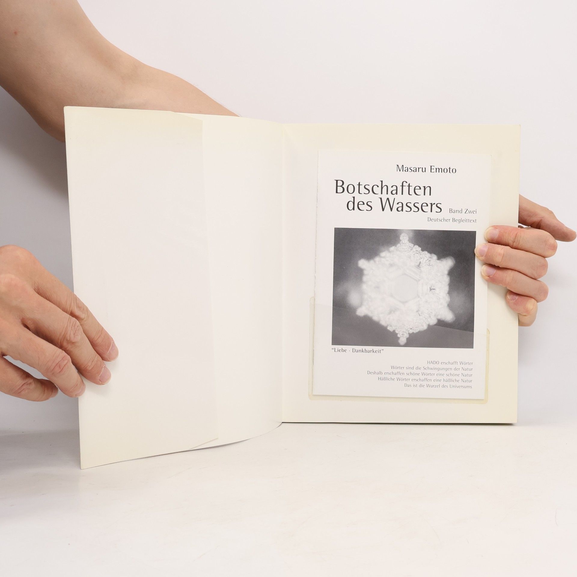 Masaru Emoto Messages from Water 2.