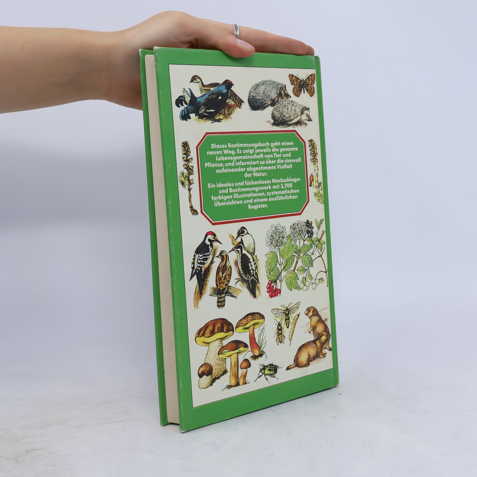 Autorenkollektiv Handbuch der Tiere und Pflanzen