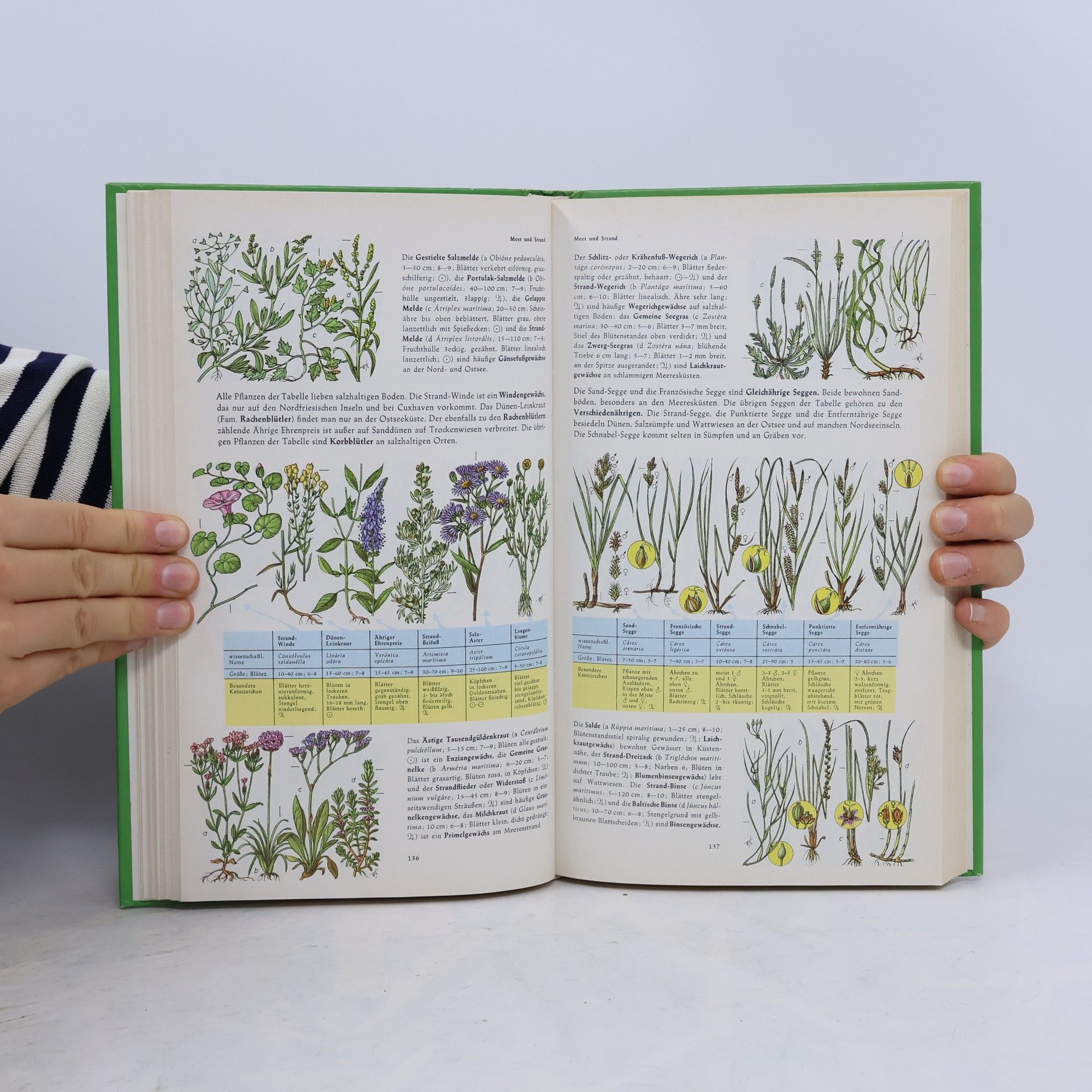 Autorenkollektiv Handbuch der Tiere und Pflanzen