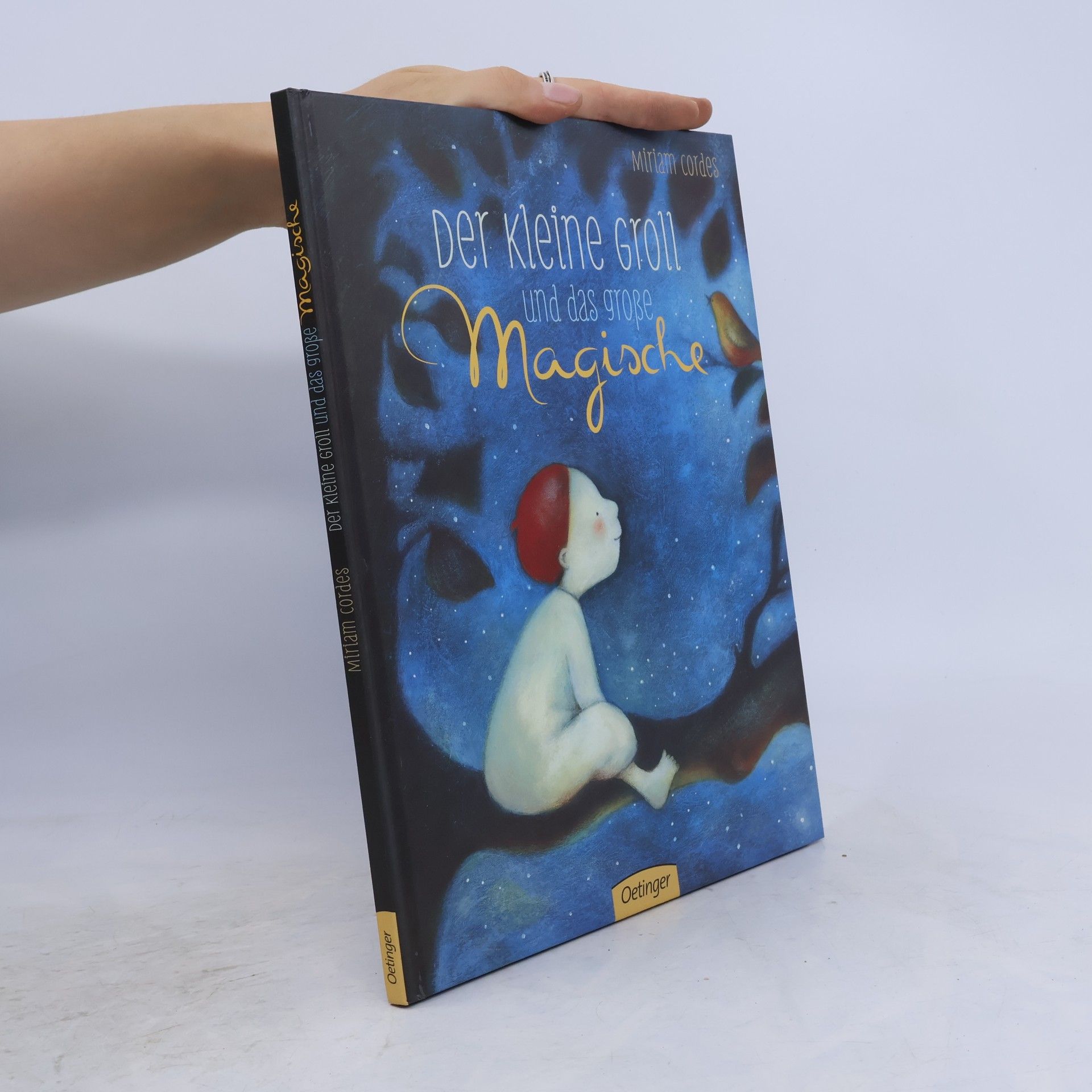 Miriam Cordes Der kleine Groll und das große Magische