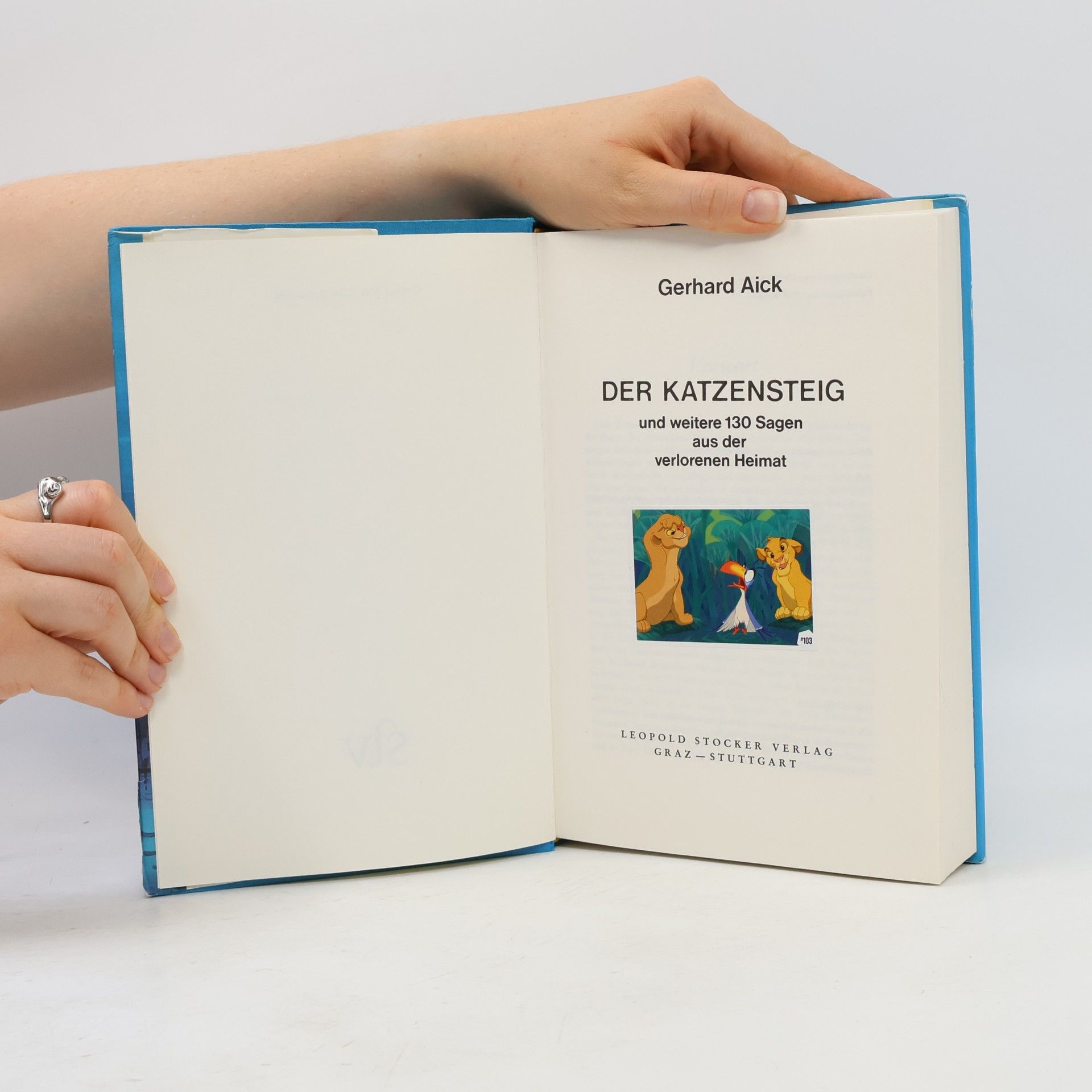 Gerhard Aick Der Katzensteig und weitere 130 Sagen aus der verlorenen Heimat