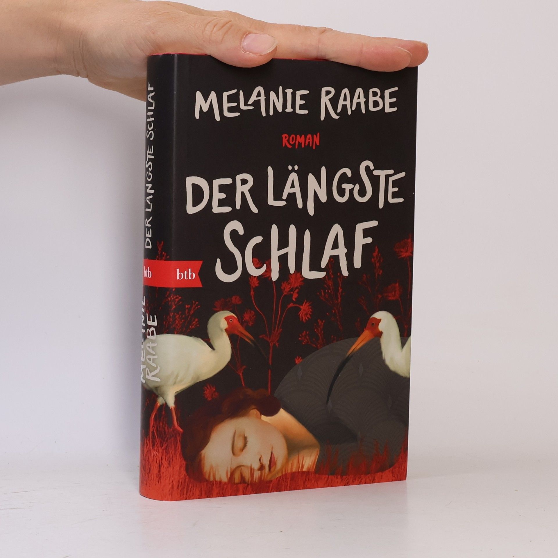 Melanie Raabe Der längste Schlaf. Roman