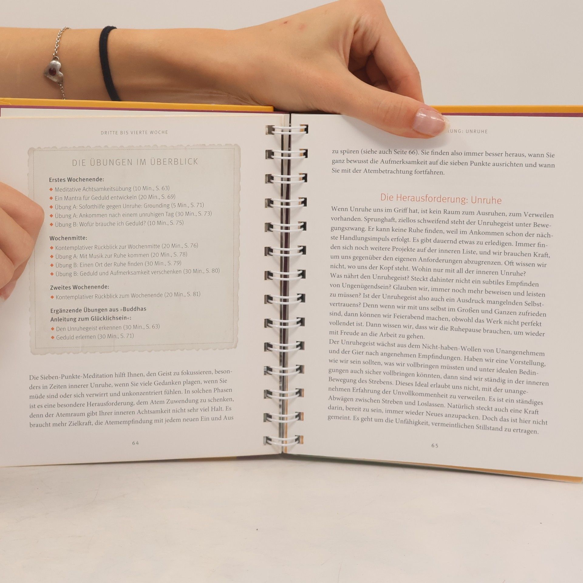 Marie Mannschaltz Buddhas Anleitung zum Glücklichsein - Das Übungsbuch