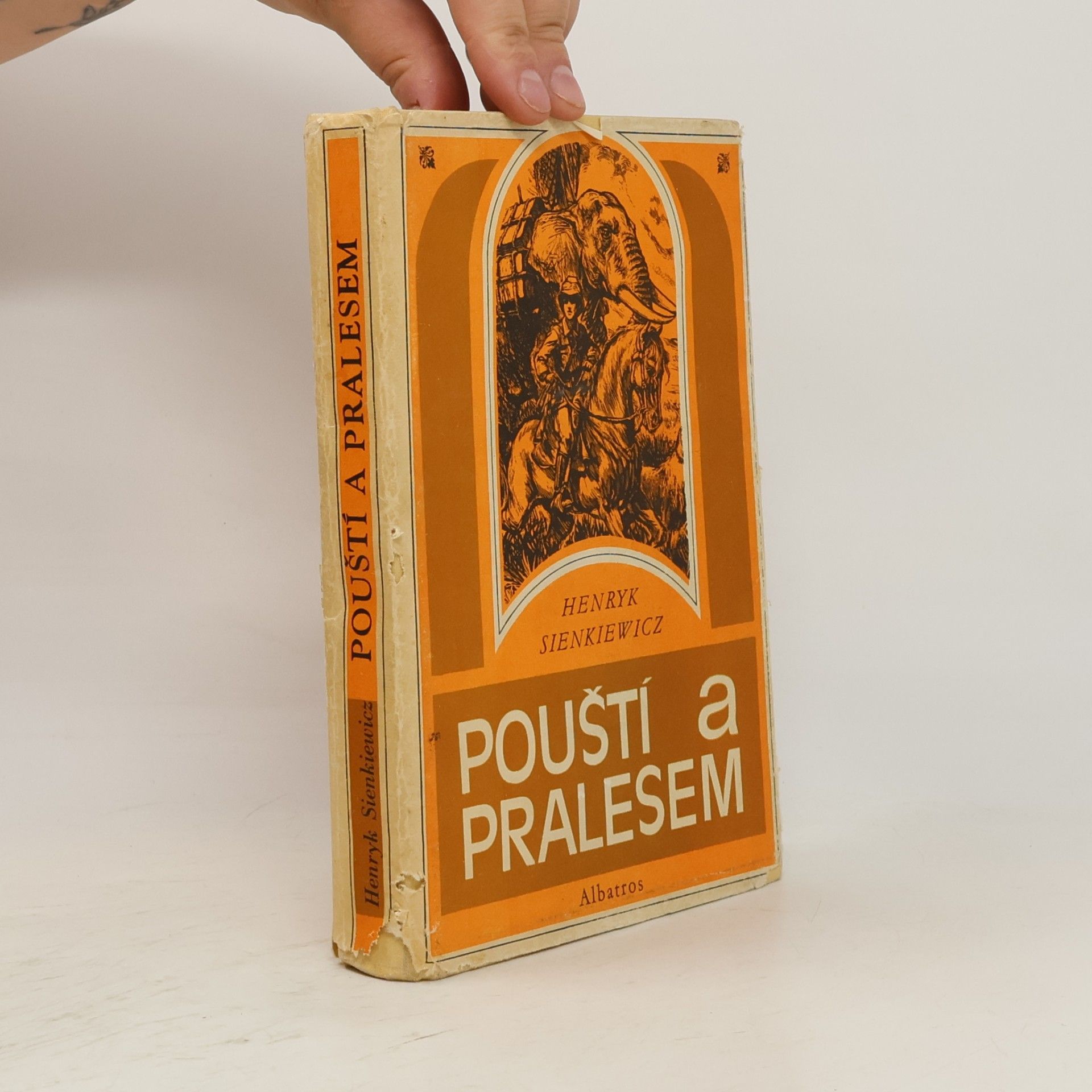 Henryk Sienkiewicz Pouští a pralesem