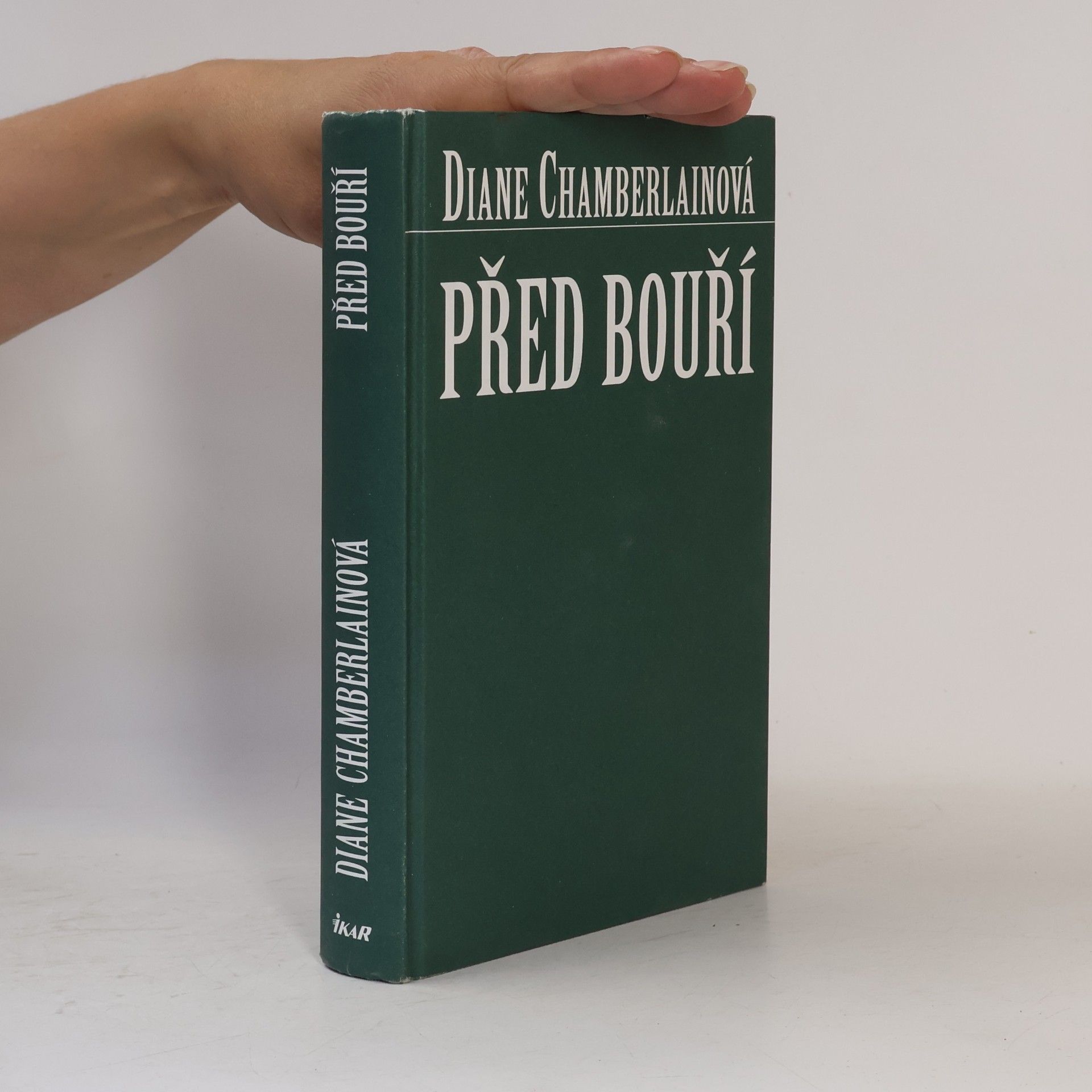 Diane Chamberlain Před bouří