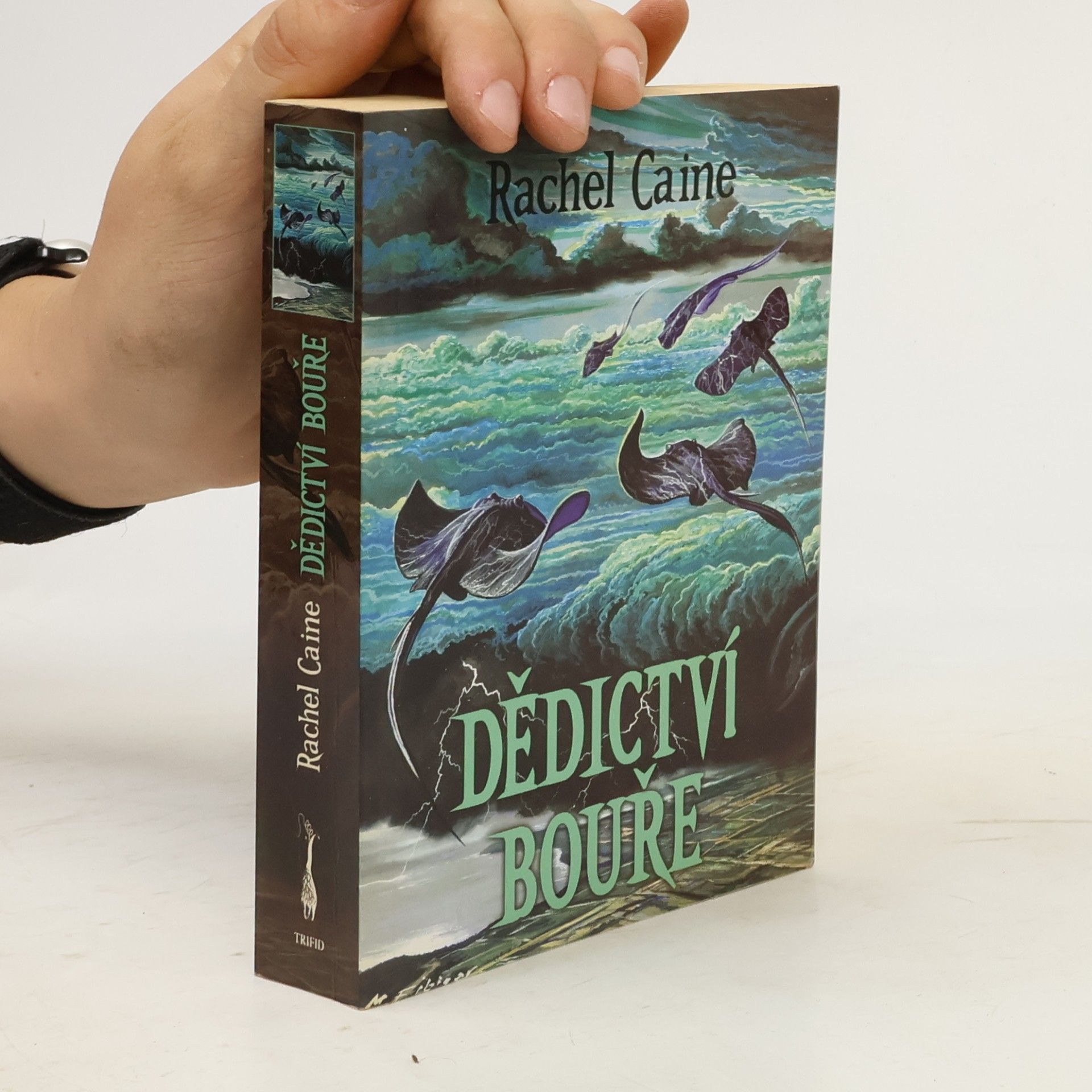 Rachel Caine Dědictví bouře