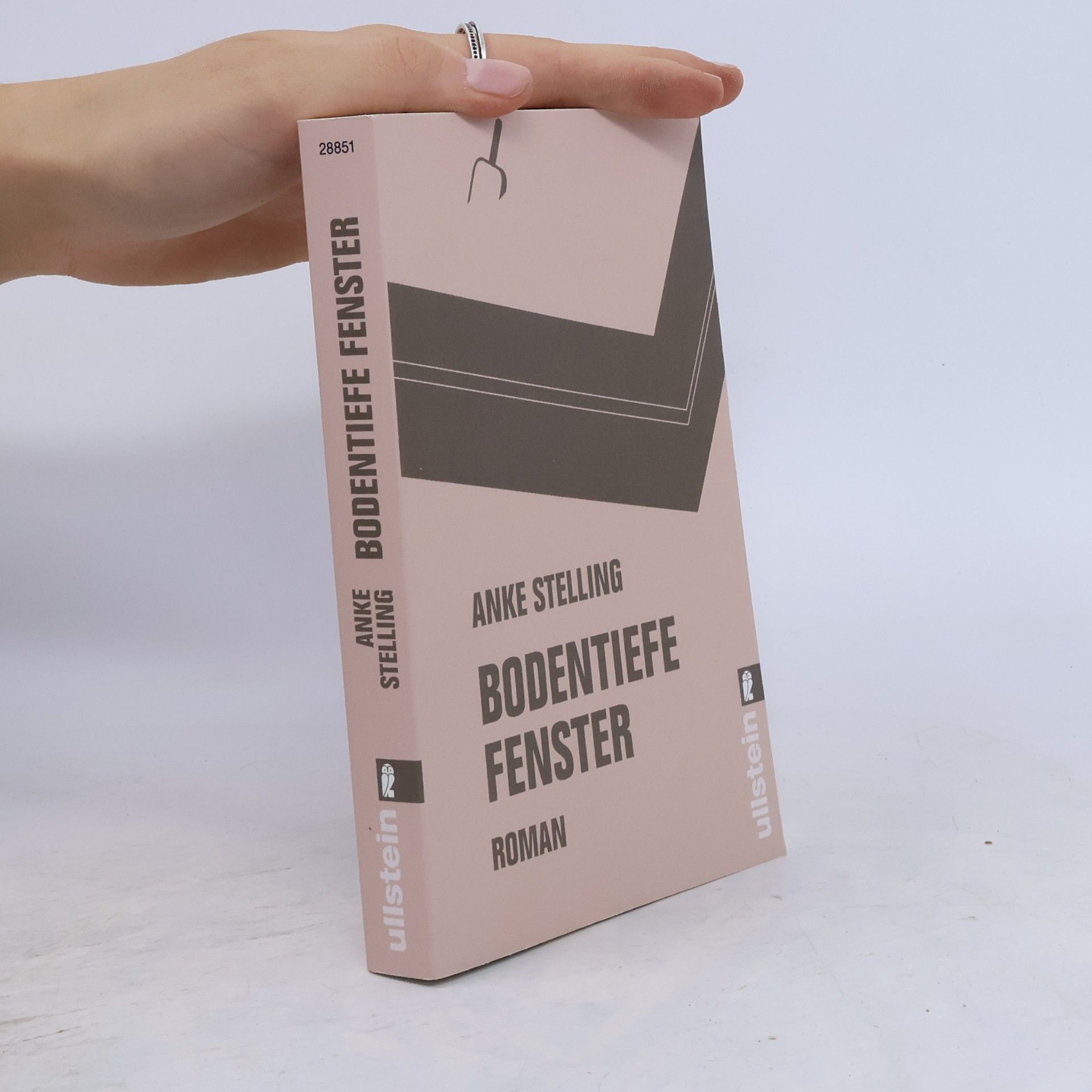 Anke Stelling Bodentiefe Fenster
