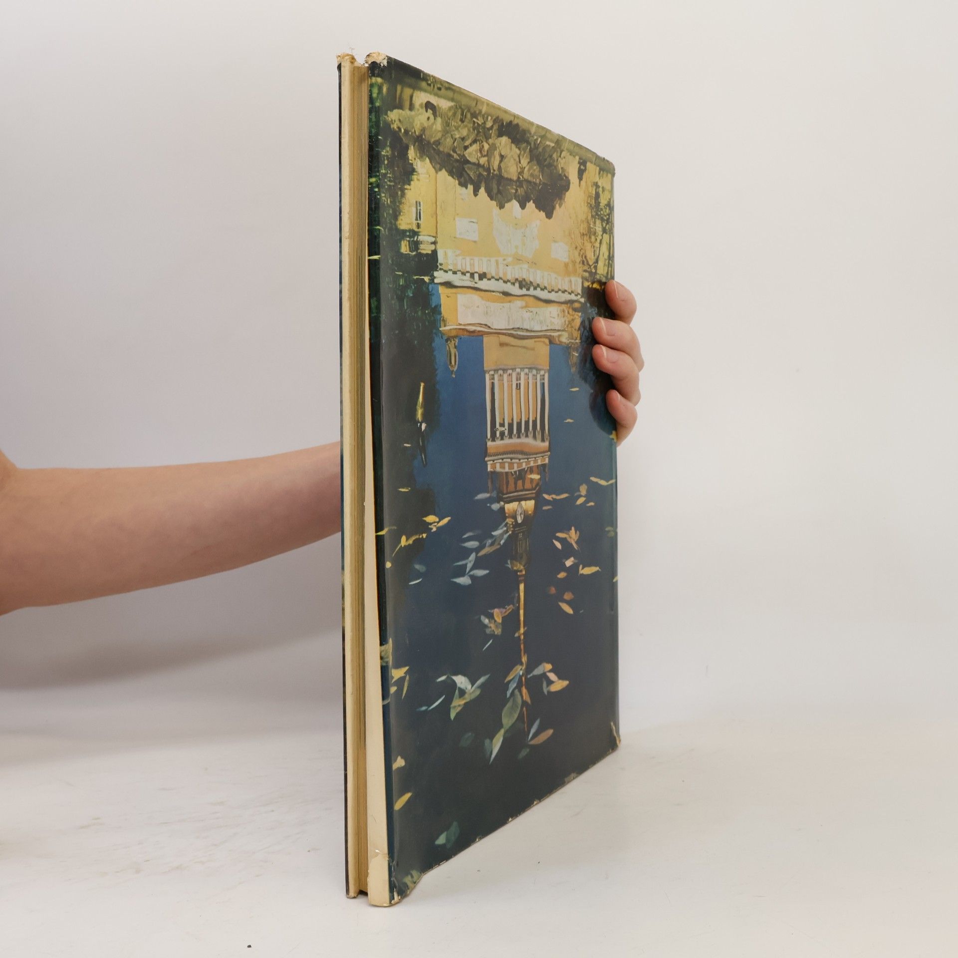 Autores varios Portrait of Leningrad: 102 pictures in colour