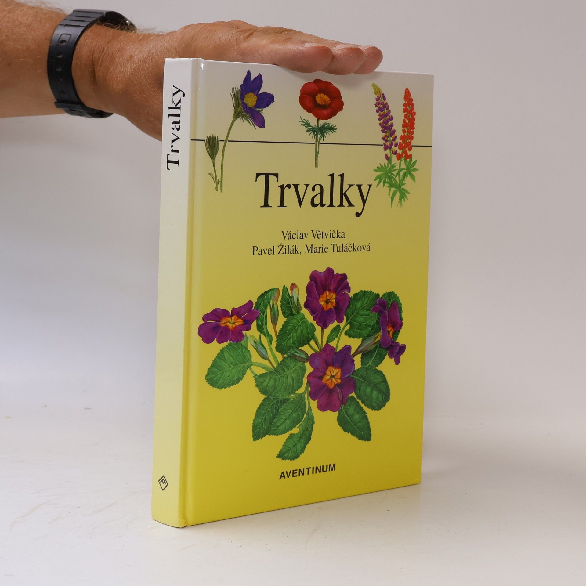 Václav Větvička Trvalky