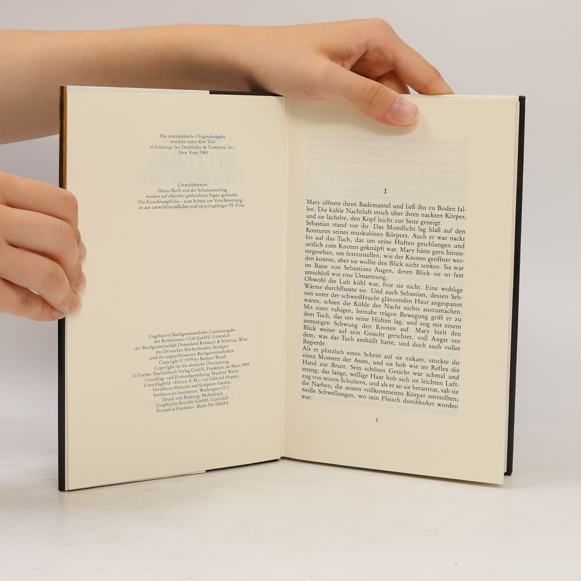 Barbara Wood Bitteres Geheimnis