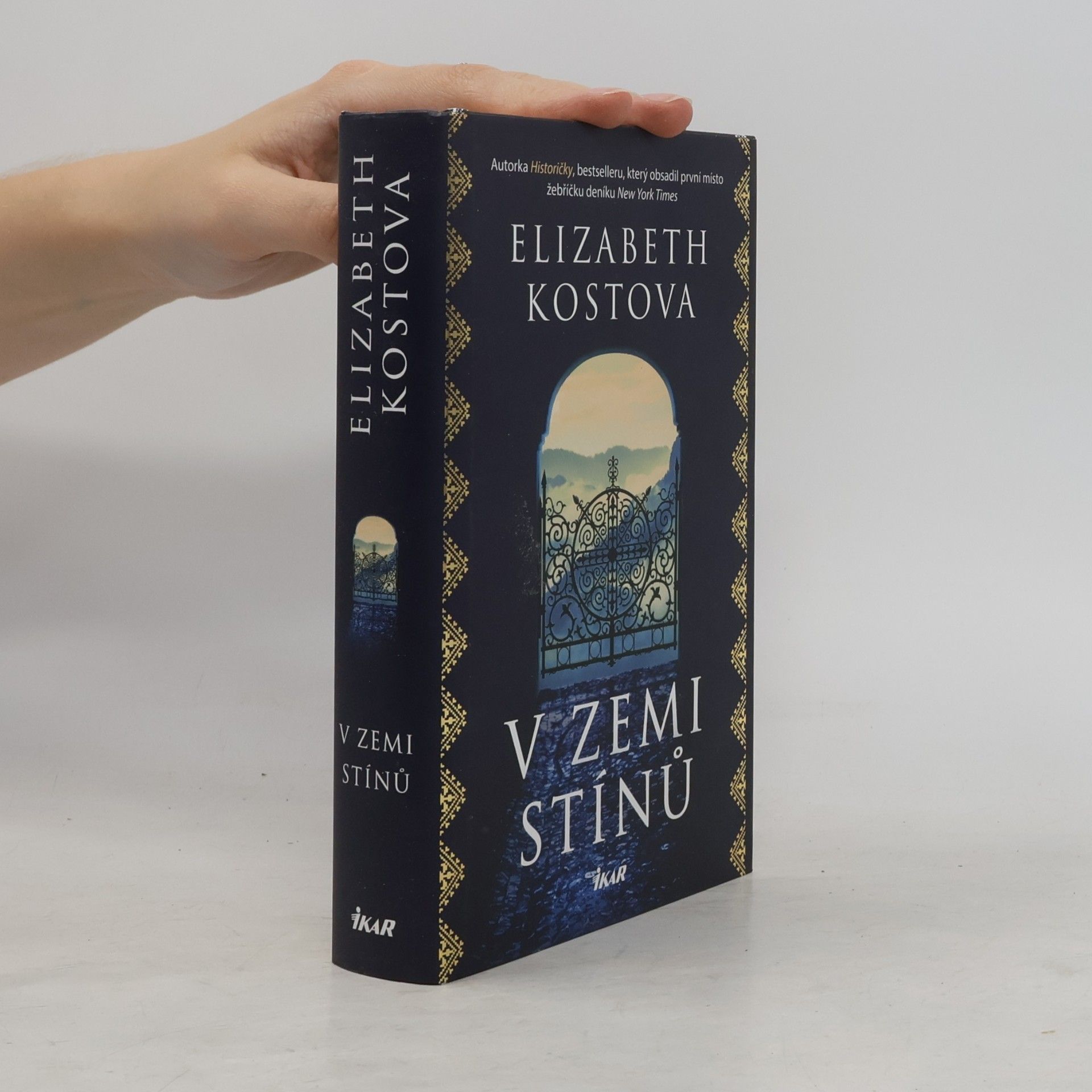 Elizabeth Kostova V zemi stínů