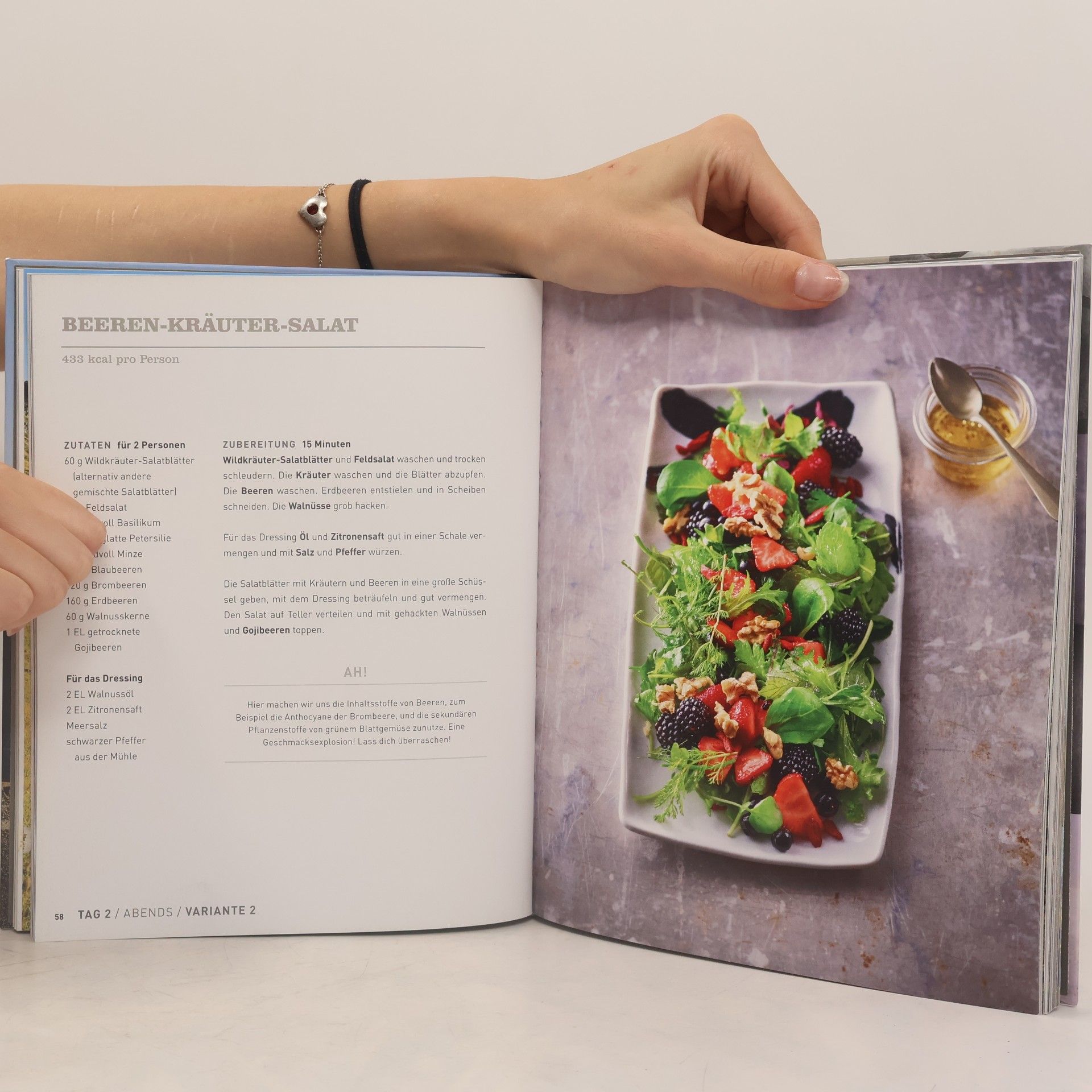 Attila Hildmann Vegan for fit - Gipfelstürmer