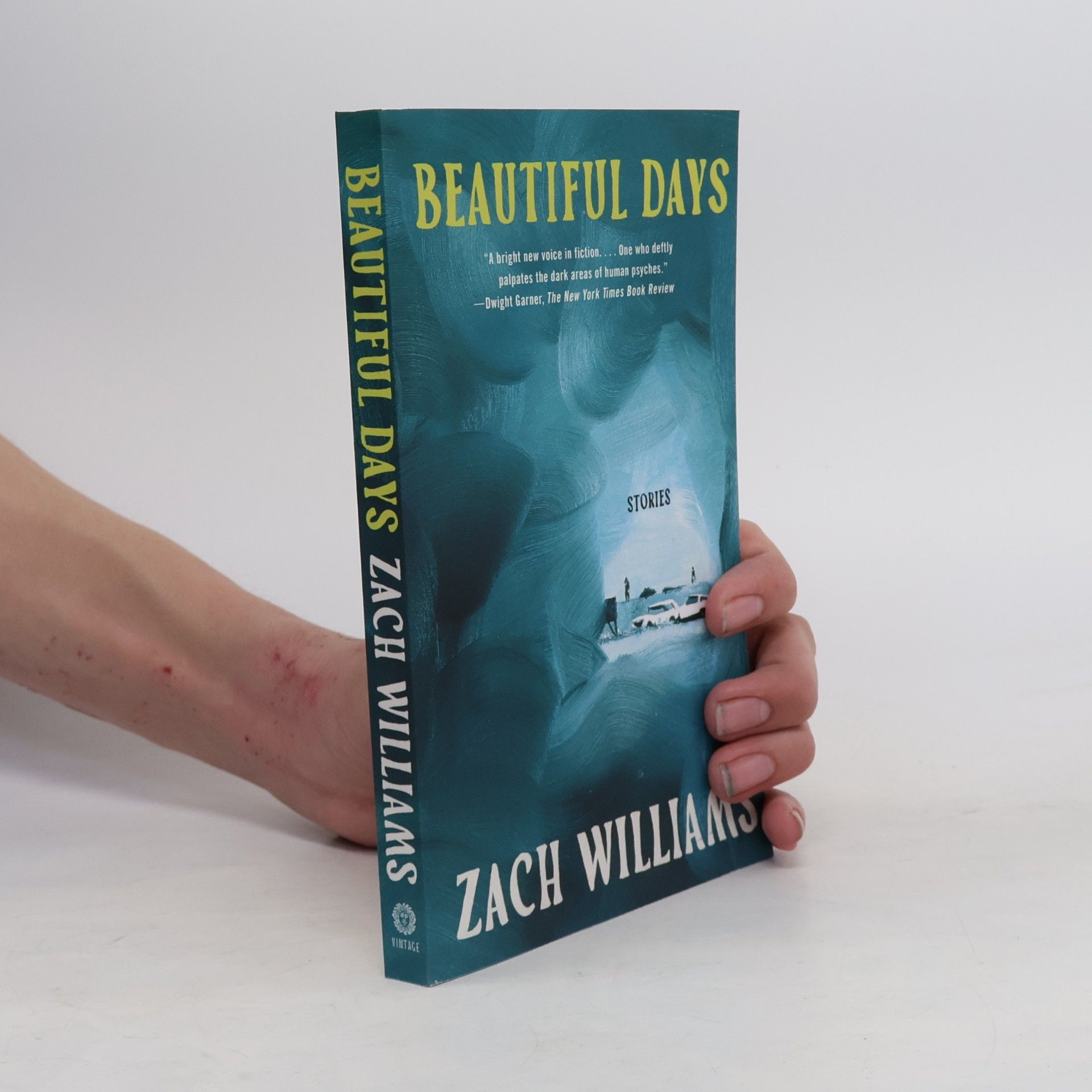 Zach Williams Beautiful Days