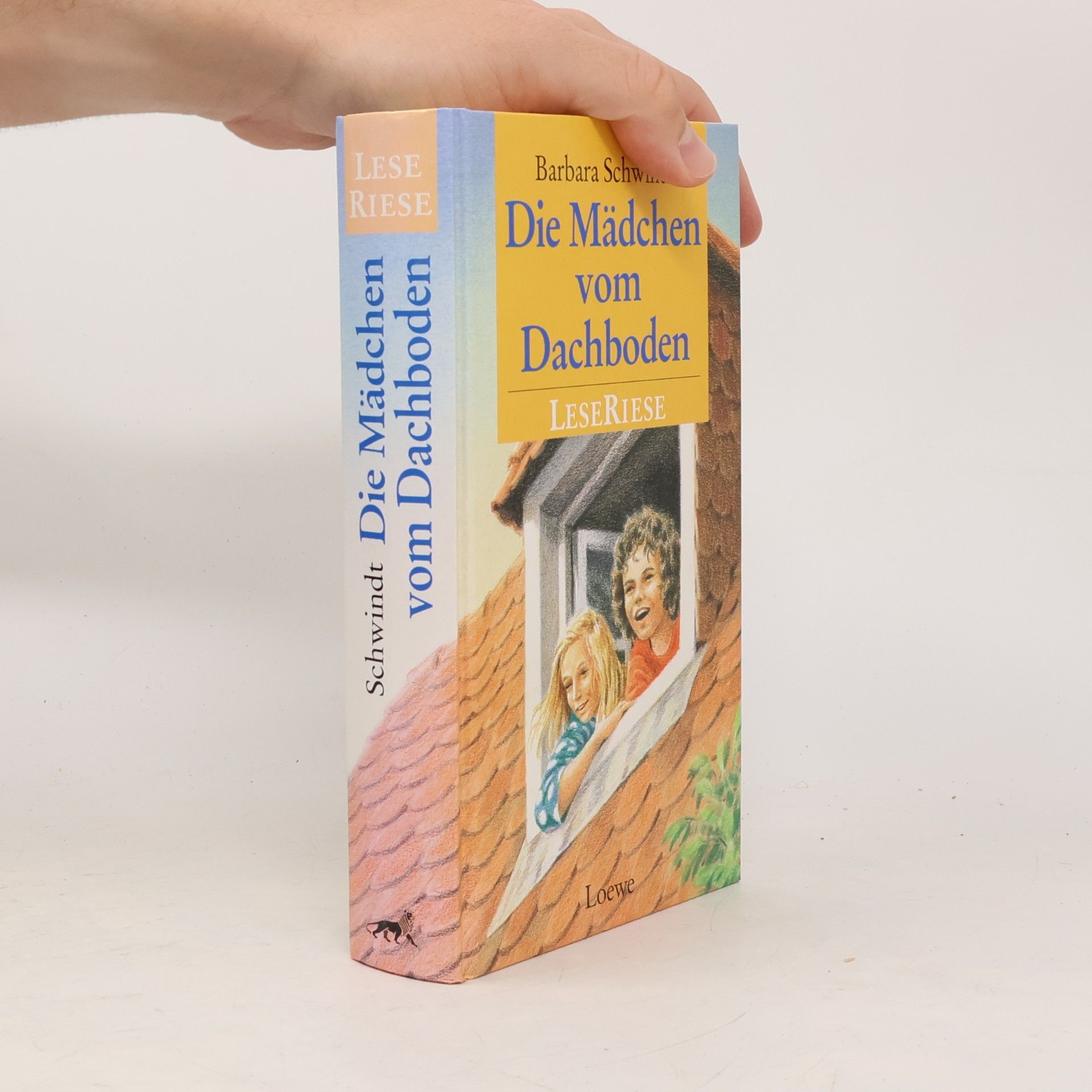 Barbara Schwindt Die Mädchen vom Dachboden
