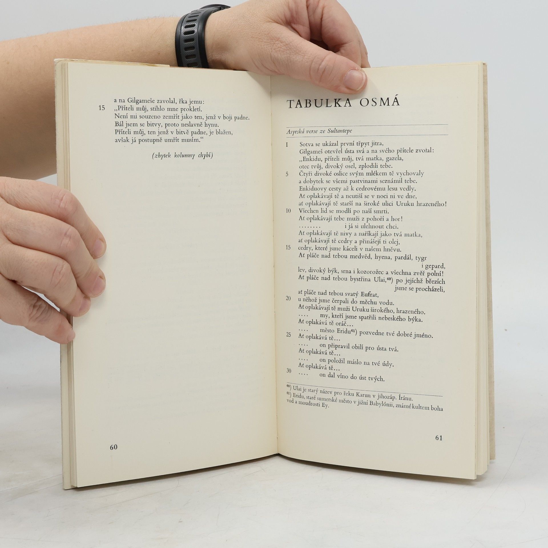 Autorenkollektiv Epos o Gilgamešovi