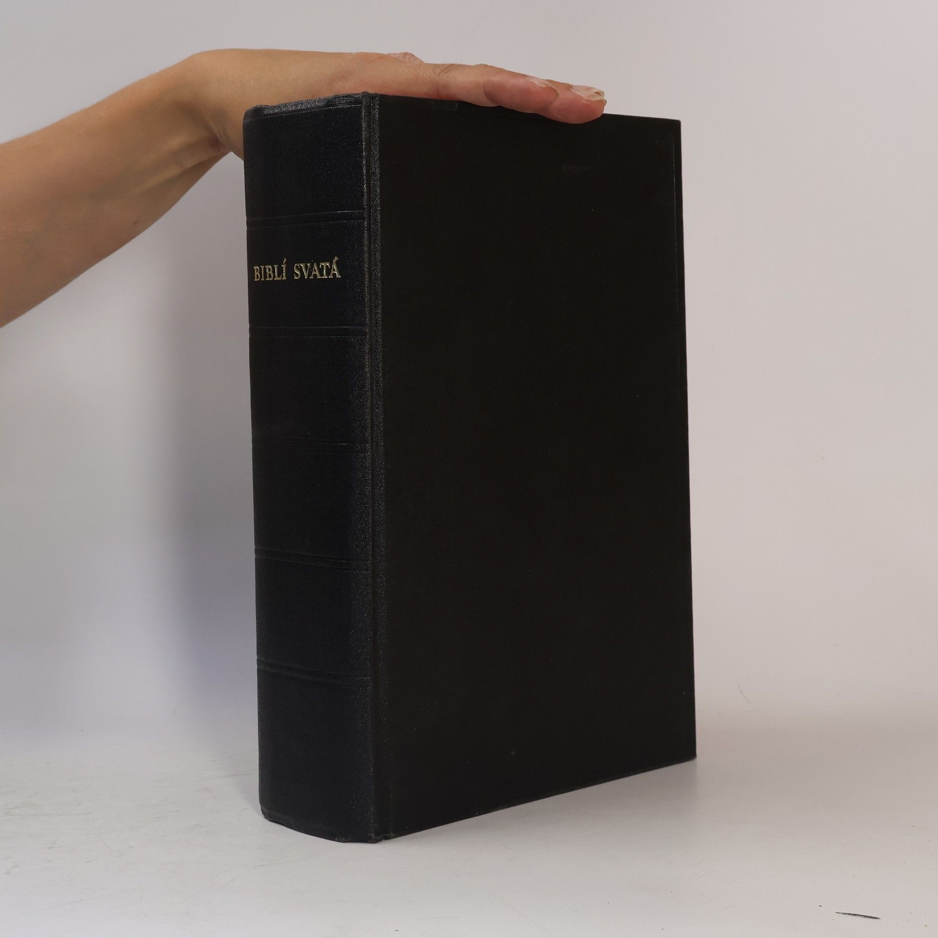 Kolektiv autorů Biblí svatá aneb Všecka svatá písma Starého i Nového zákona