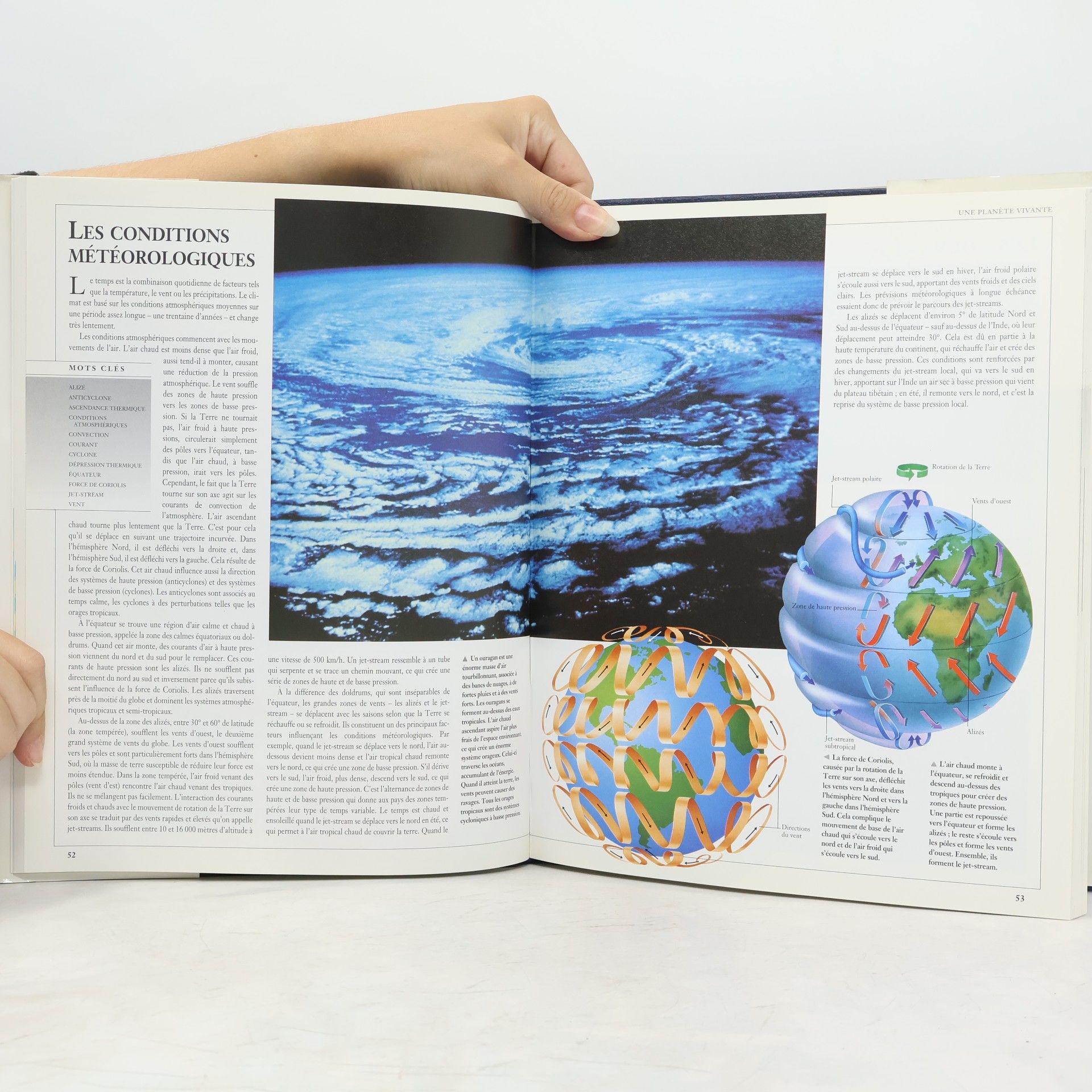 Sally Morgan La Nouvelle Encyclopédie des Sciences: L'écologie