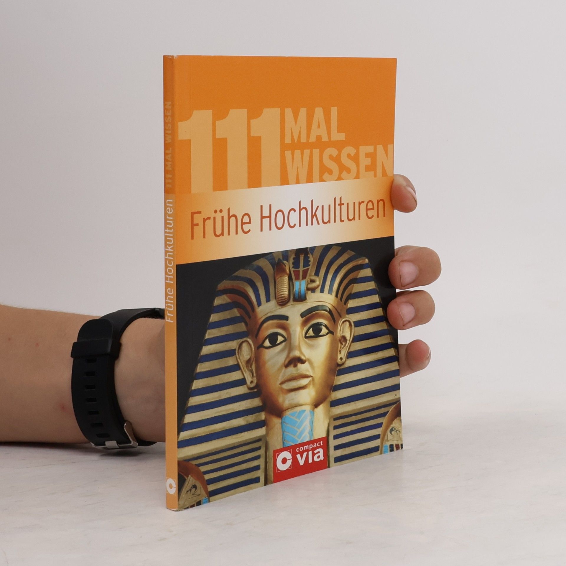 Christa Pöppelmann 111 Mal Wissen: Frühe Hochkulturen