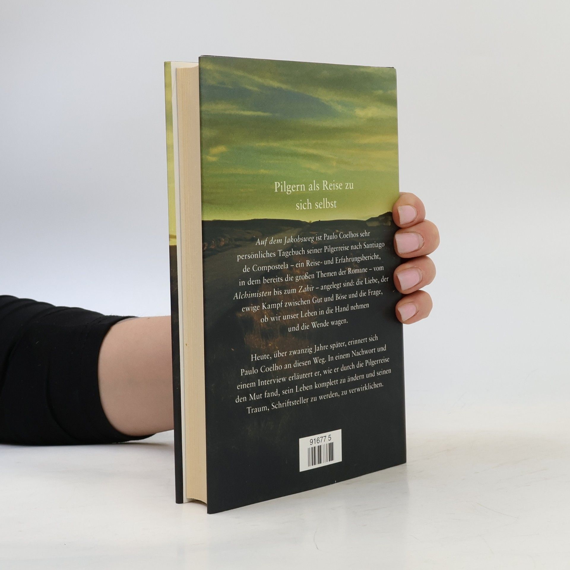 Paulo Coelho Auf dem Jakobsweg