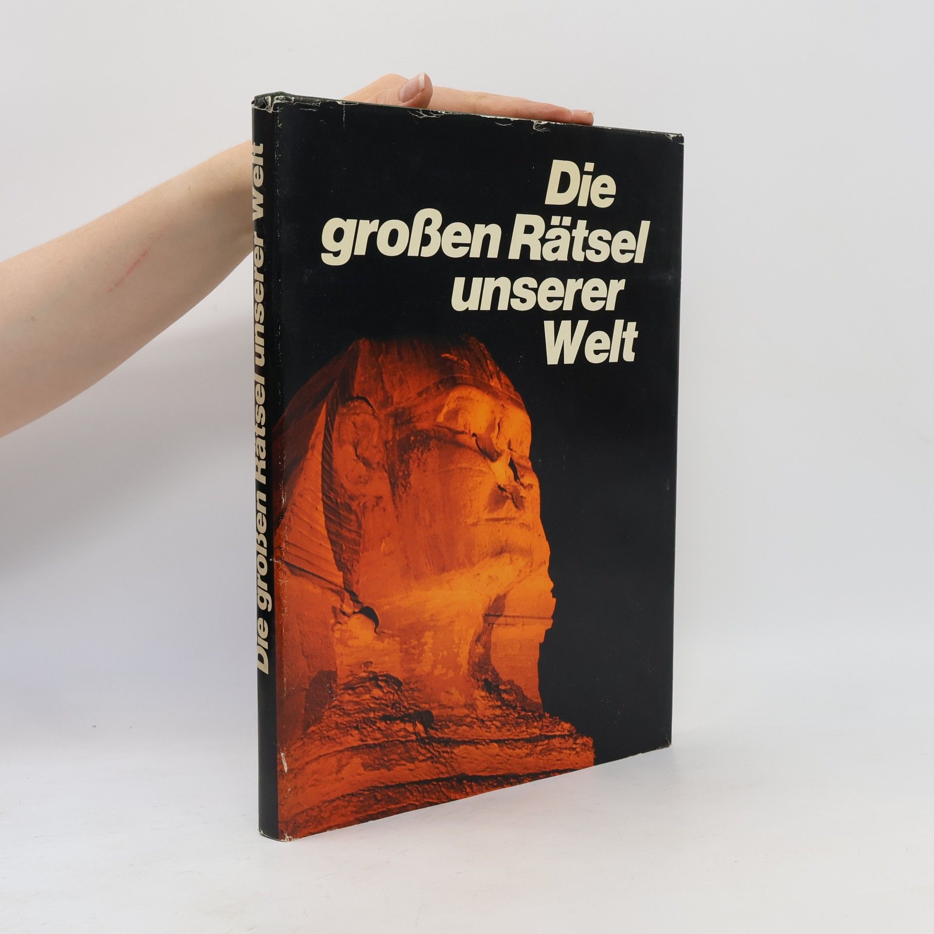 Die großen Rätsel unserer Welt