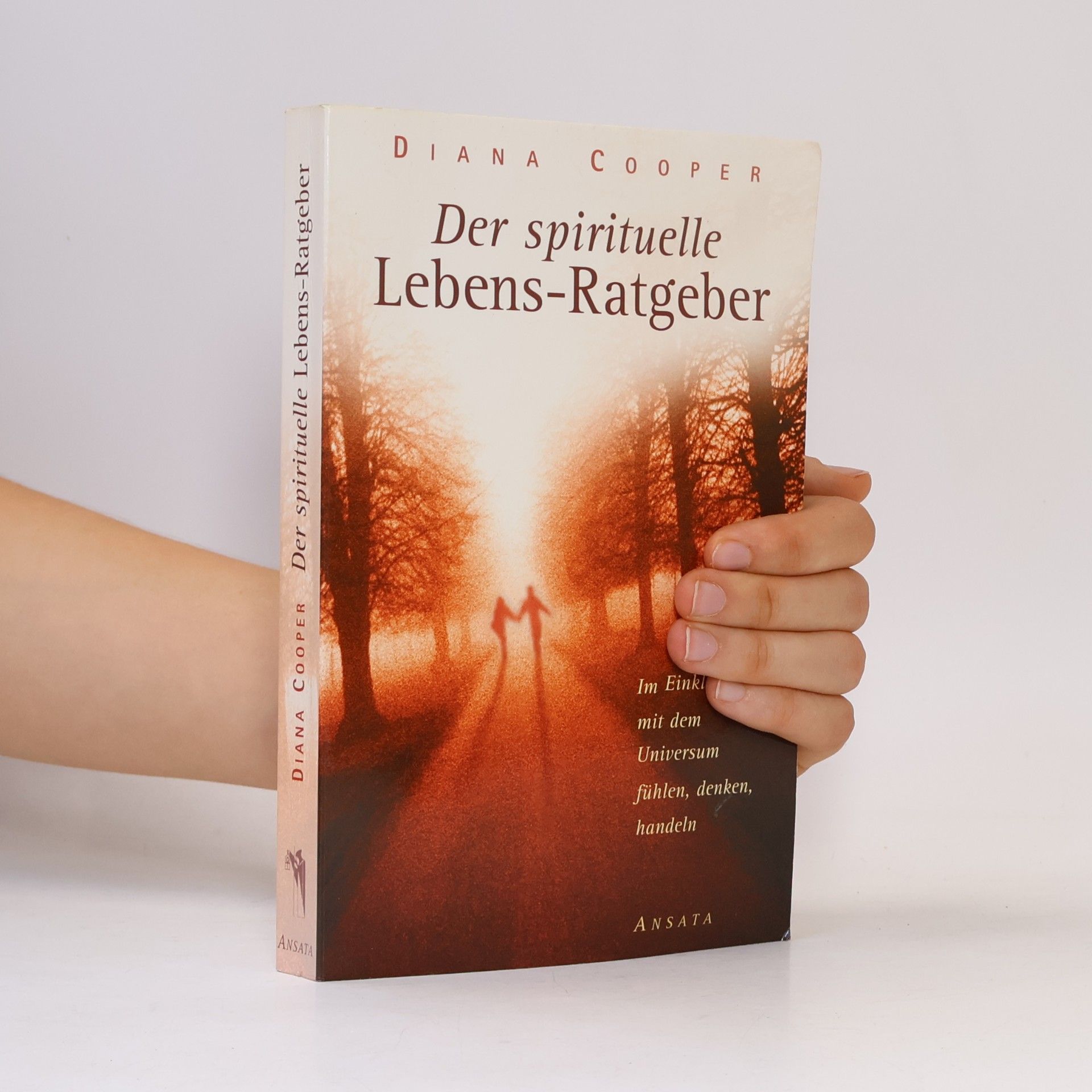 Diana Cooper Der spirituelle Lebens-Ratgeber