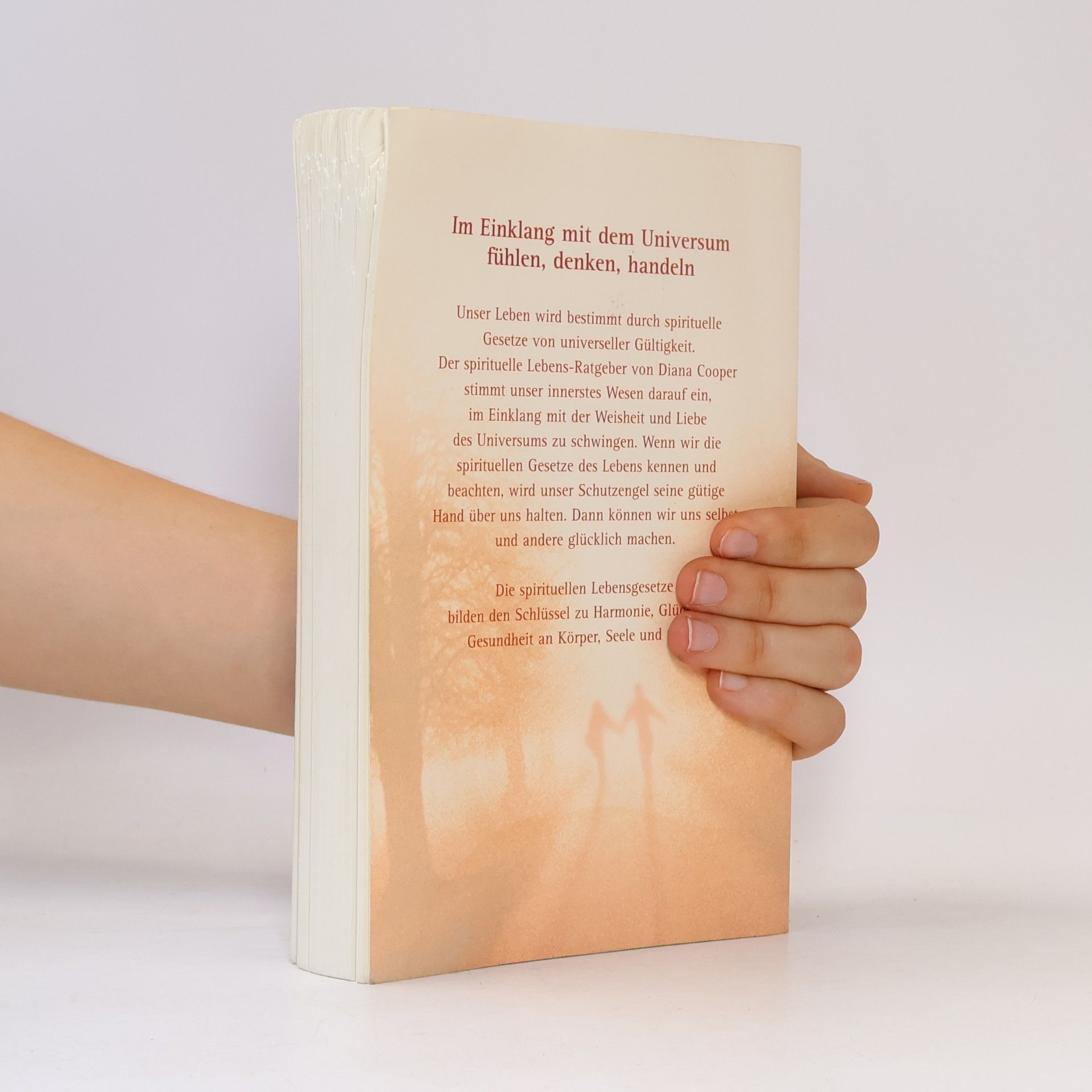Diana Cooper Der spirituelle Lebens-Ratgeber