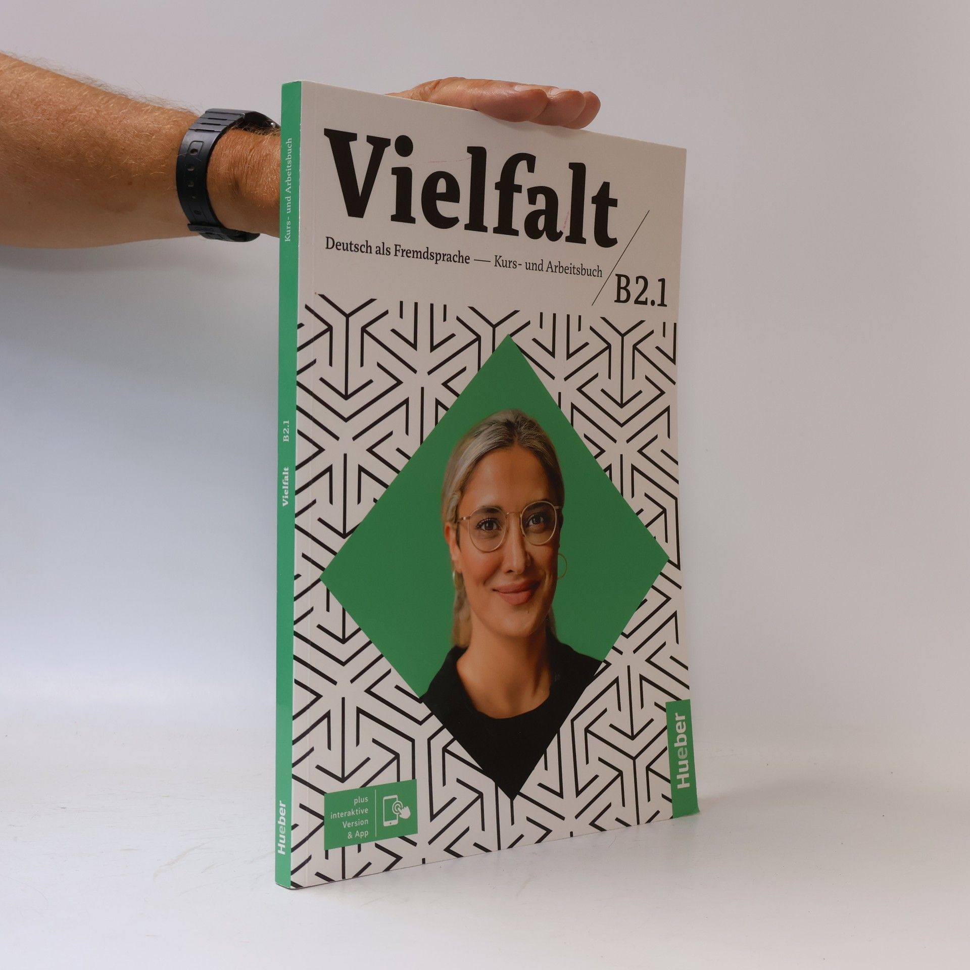 Kolektiv autorů Vielfalt: Deutsch als Fremdsprache B 2.1