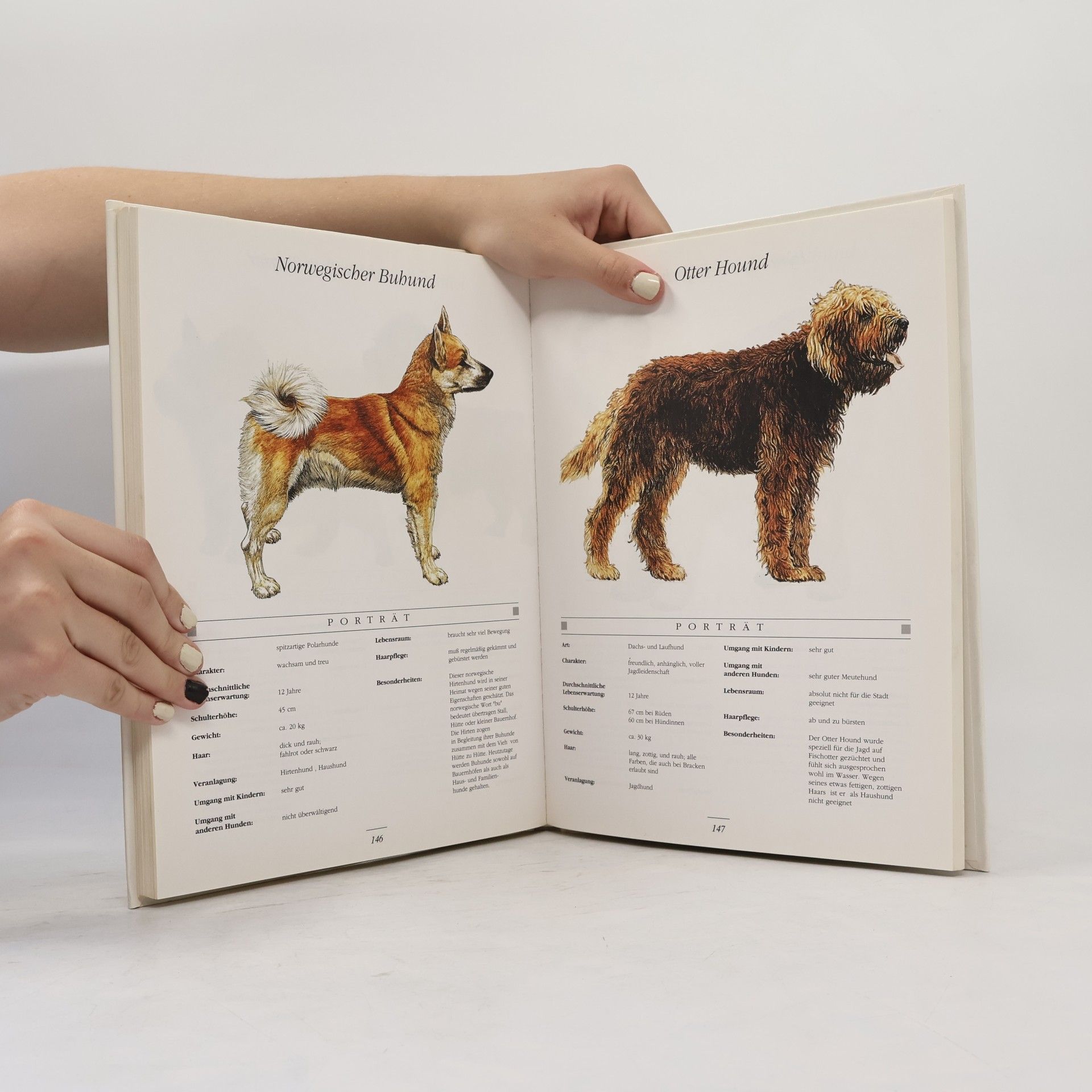 Various authors Die große Hunde-Enzyklopädie