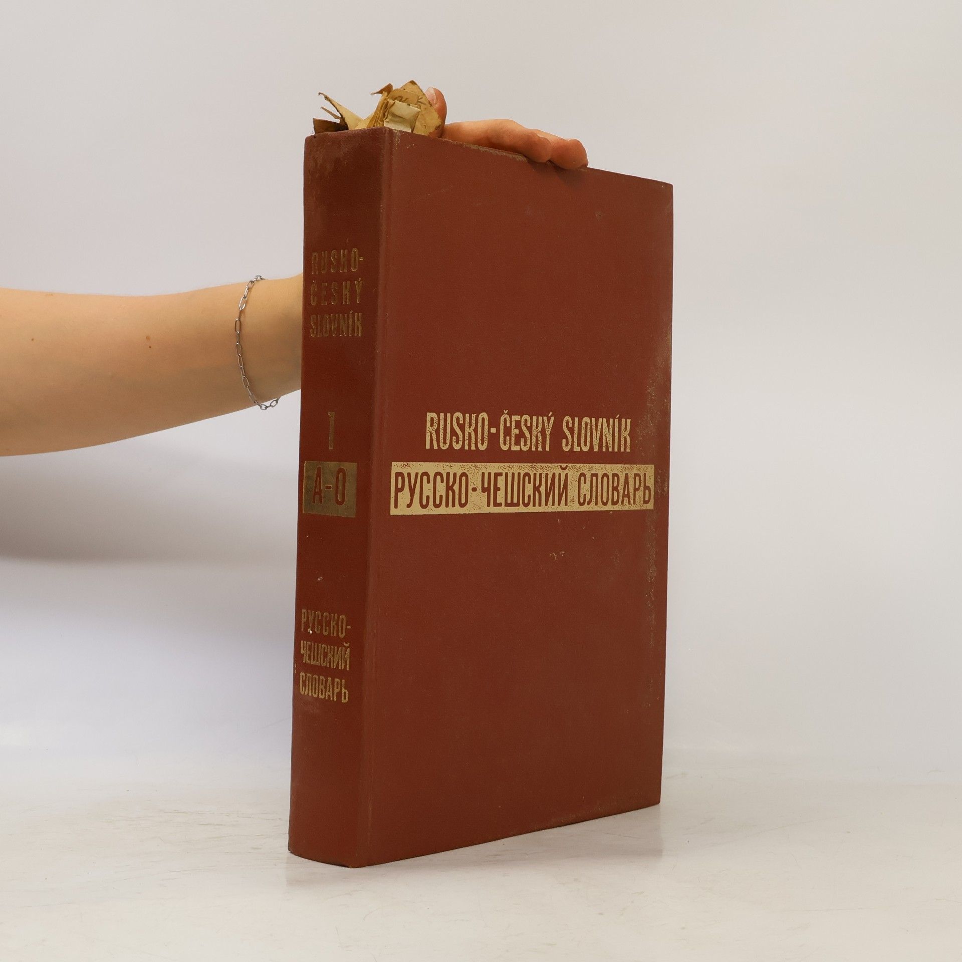 Autores varios Rusko-český slovník. Pусско-чешский словарь 1. A-O