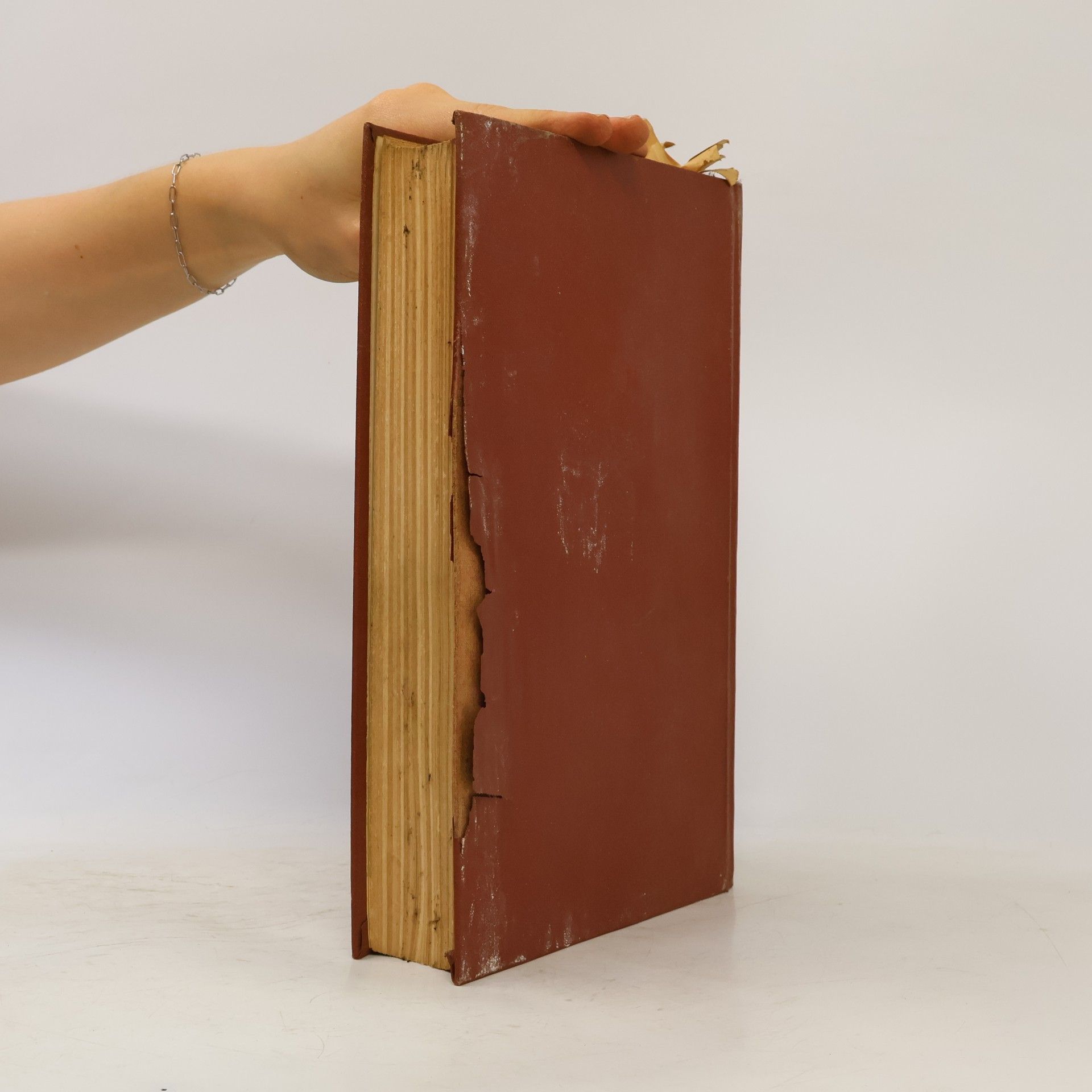 Autores varios Rusko-český slovník. Pусско-чешский словарь 1. A-O