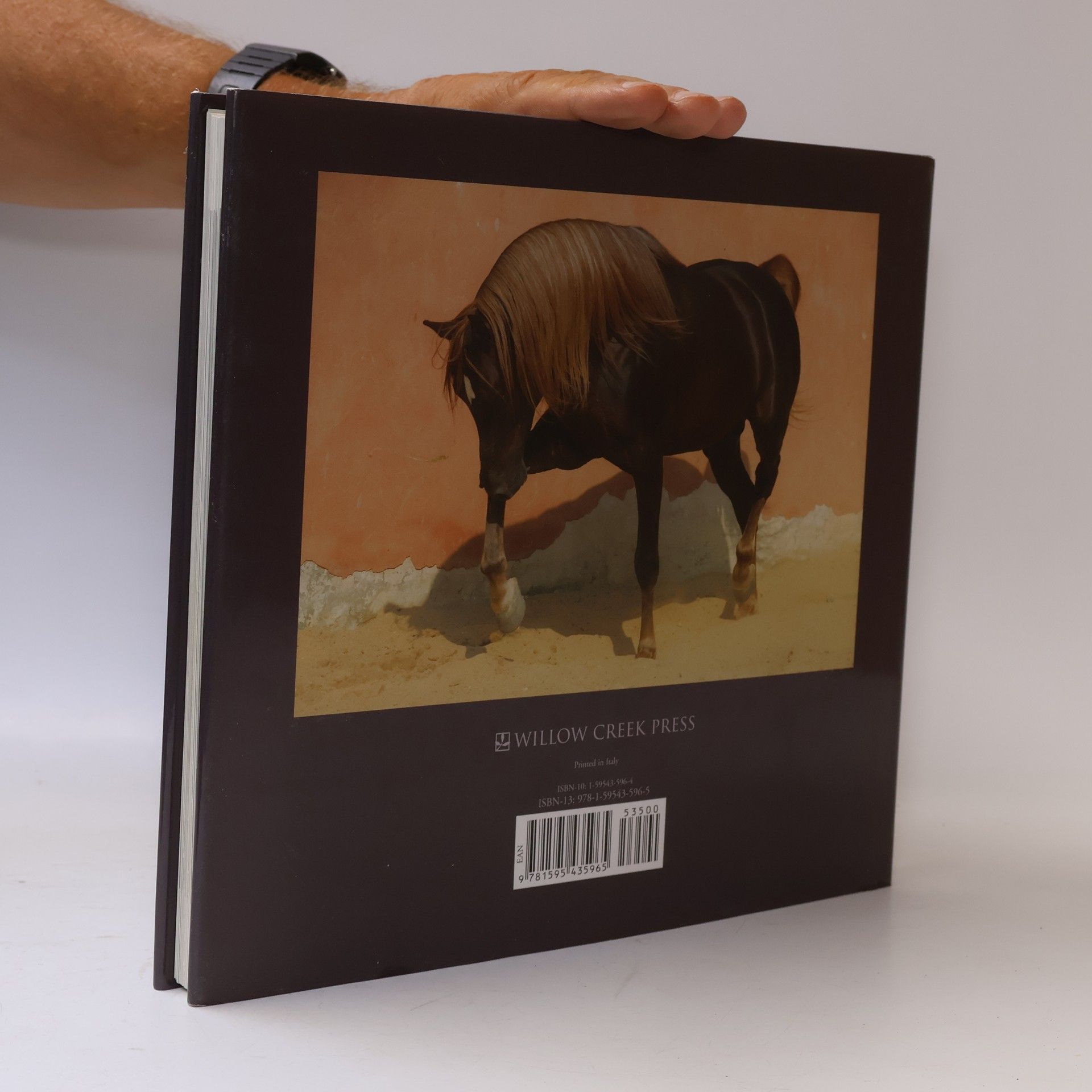 Christiane Slawik Horse: A Portrait: A Photographer's Life with Horses