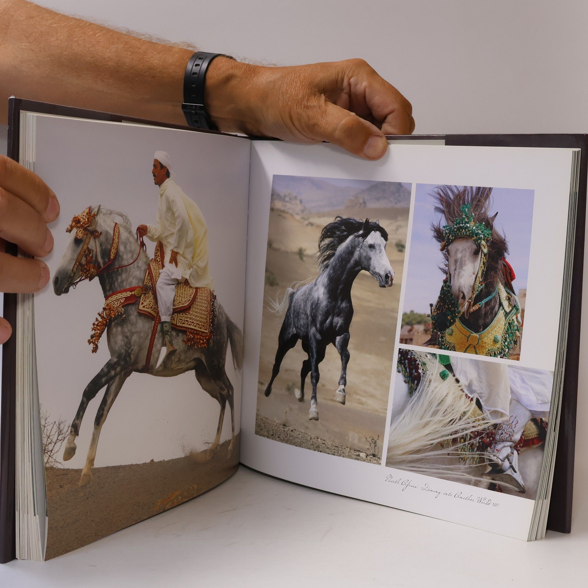 Christiane Slawik Horse: A Portrait: A Photographer's Life with Horses